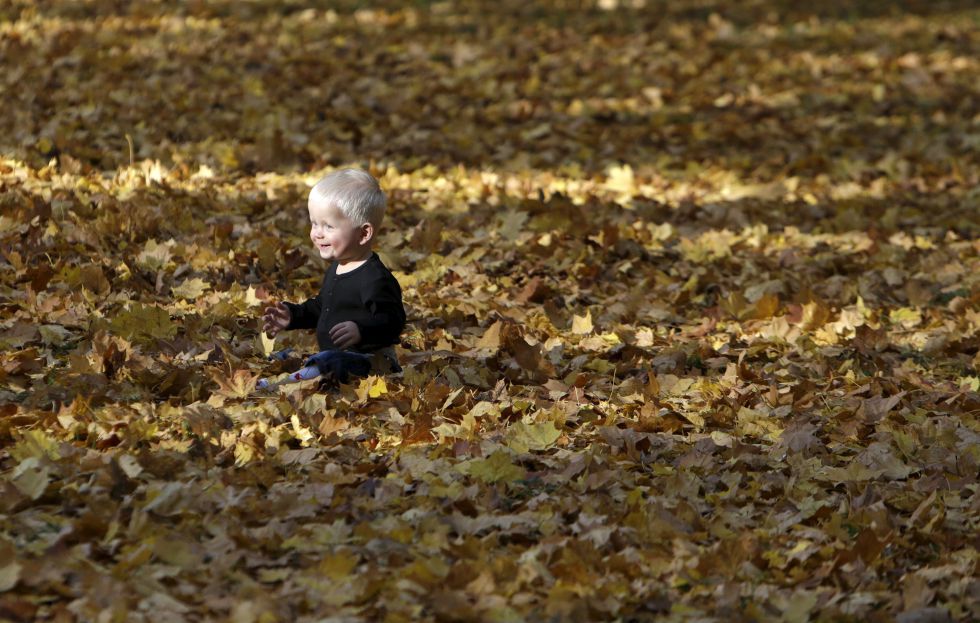 Niña De 2 Años De Edad Lindo En El Parque Del Otoño. Fotos, retratos,  imágenes y fotografía de archivo libres de derecho. Image 48505109