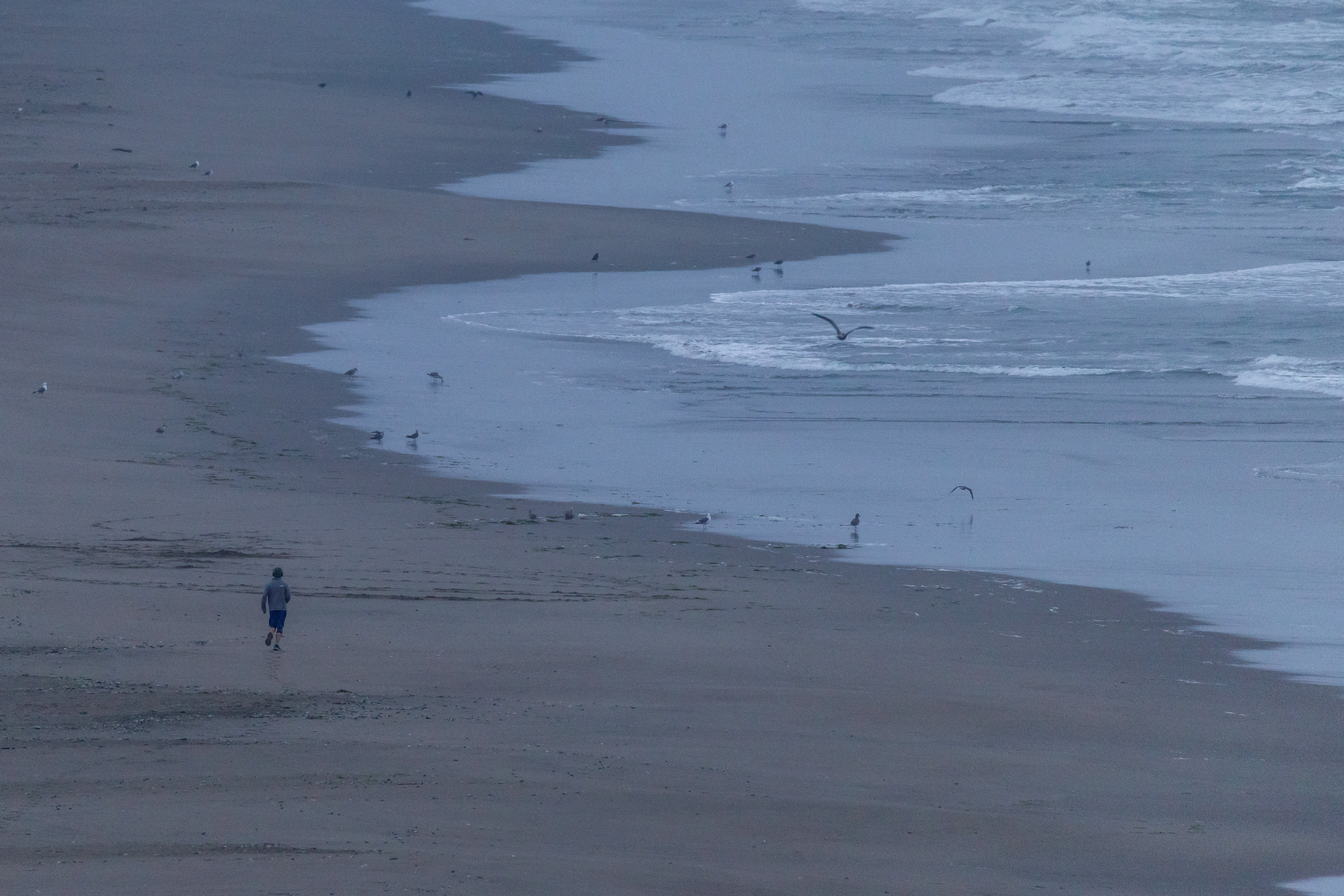 A person exercises along Ocean Beach, in California after authorities warned residents of the possibility of tsunami waves, following an earthquake at Russia's Kamchatka Peninsula, in San Francisco, California, July 30, 2025. REUTERS/Carlos Barria