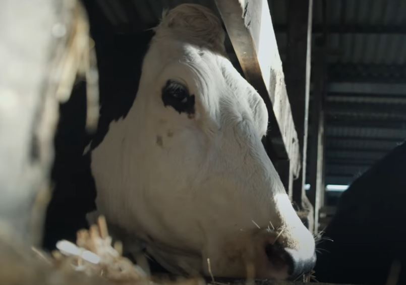 ‘Vaca’: una película sobre lo que esconde un vaso de leche