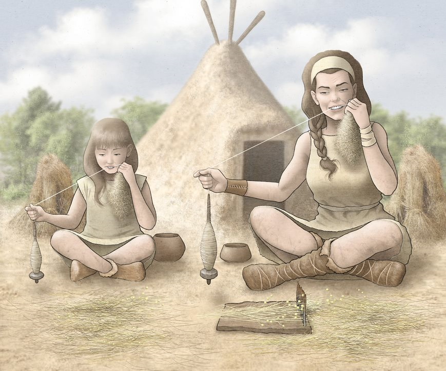 Muescas en los dientes de las ‘costureras’ muestran cómo se dividía el trabajo por sexos hace 5.000 años