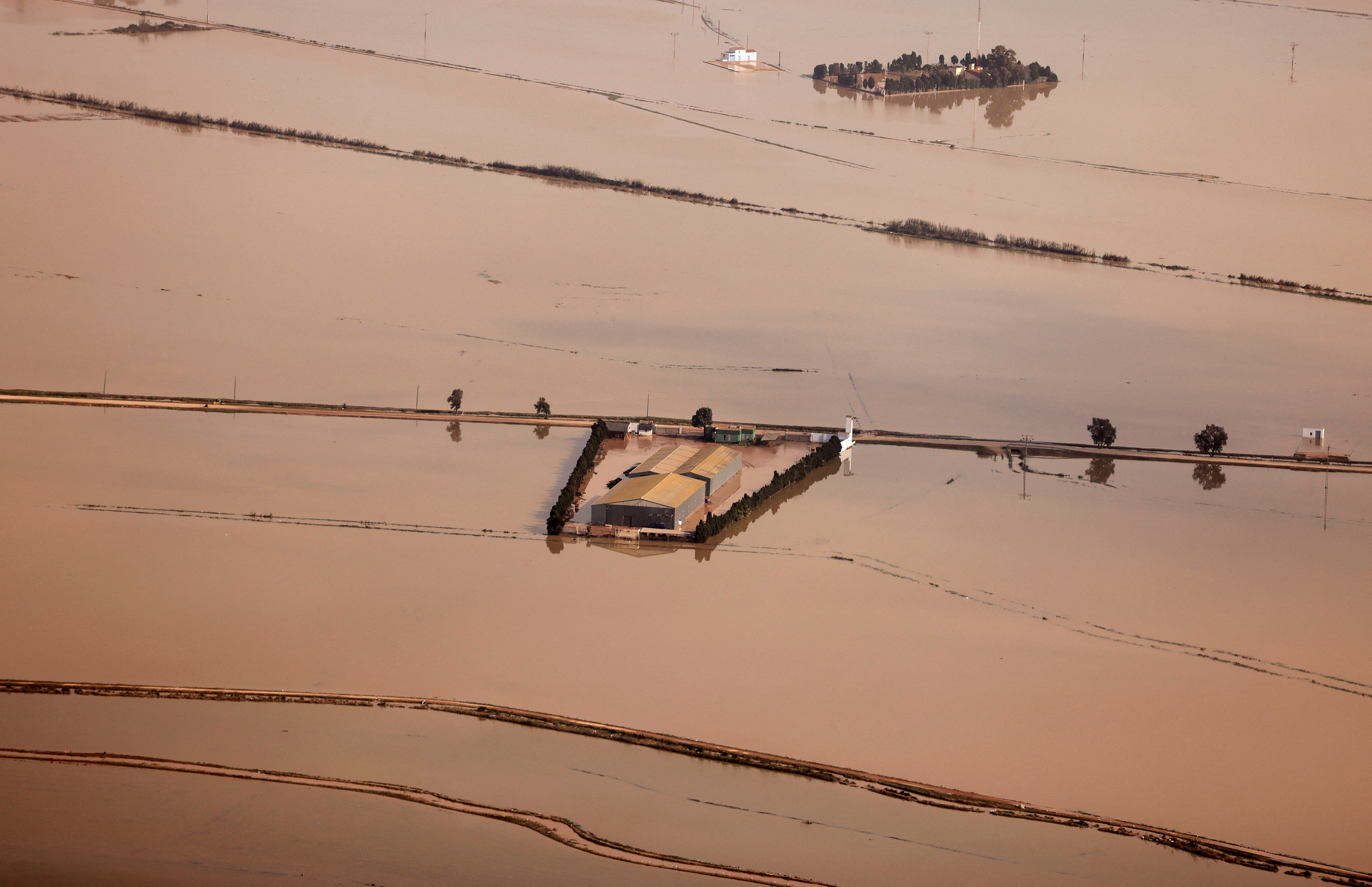 Vista aérea de cultivos de arroz destruidos por las inundaciones ocasionadas por la dana en Albufera (Andalucía), este 31 de octubre