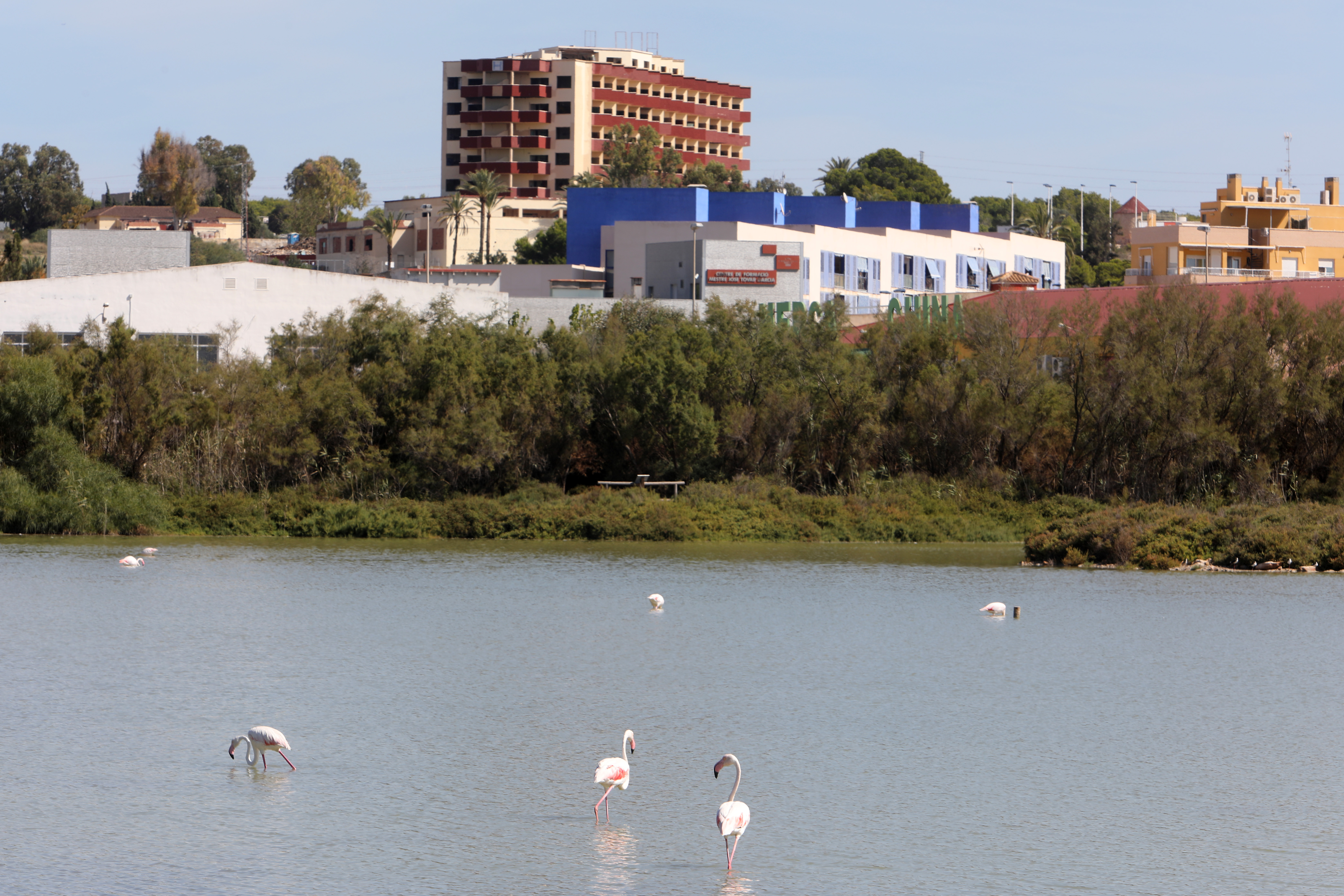 La resurrección del hotel de Santa Pola que el narco Casper quiso convertir  en el mayor prostíbulo de Europa | Noticias de la Comunidad Valenciana | EL  PAÍS