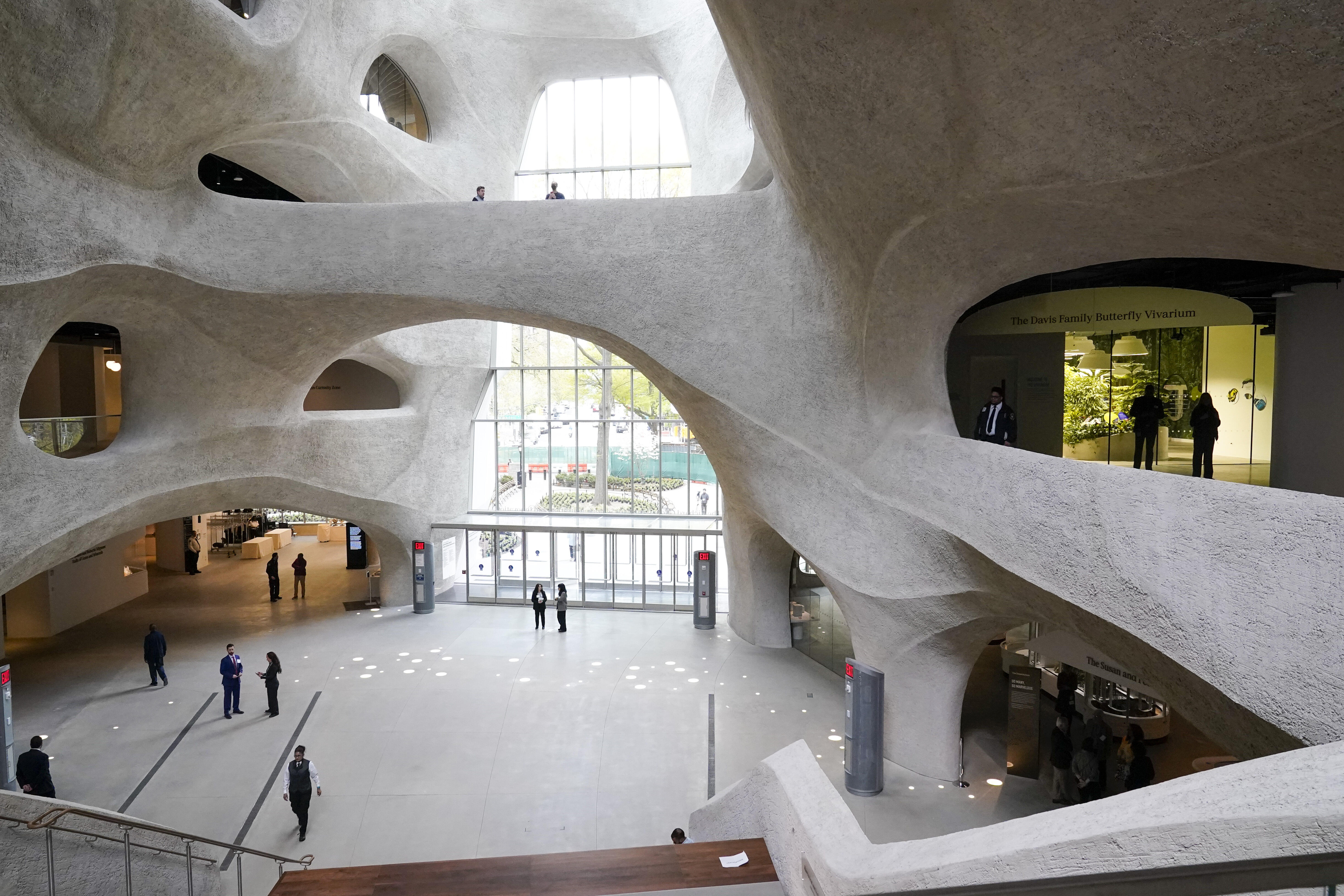 Arquitectura orgánica y herramientas interactivas para renovar el Museo de Historia Natural de Nueva York