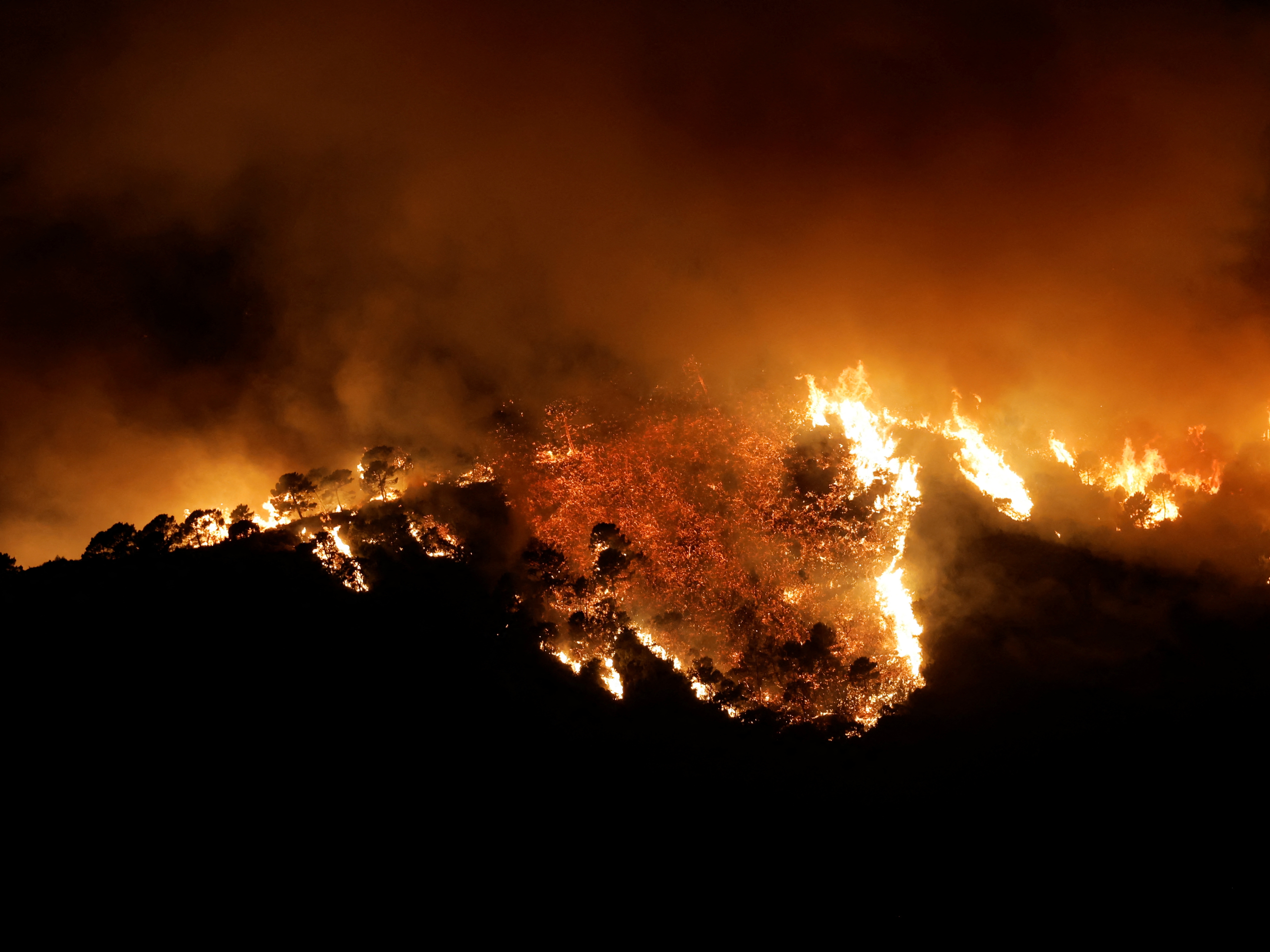 El incendio en Málaga se extiende por Sierra Bermeja y obliga a desalojar a 3.000 personas de Benahavís