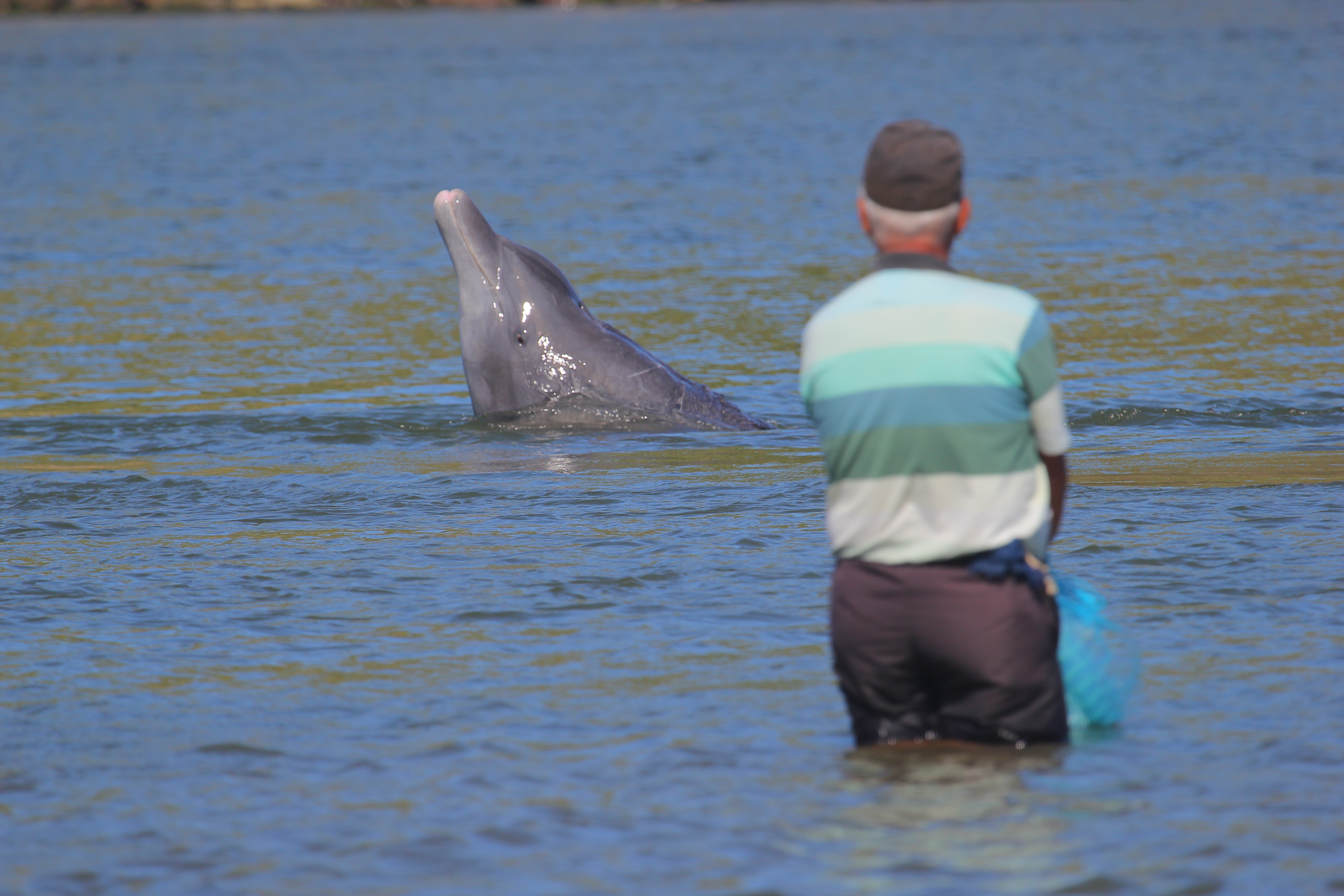 El Delfin Articulos De Pesca