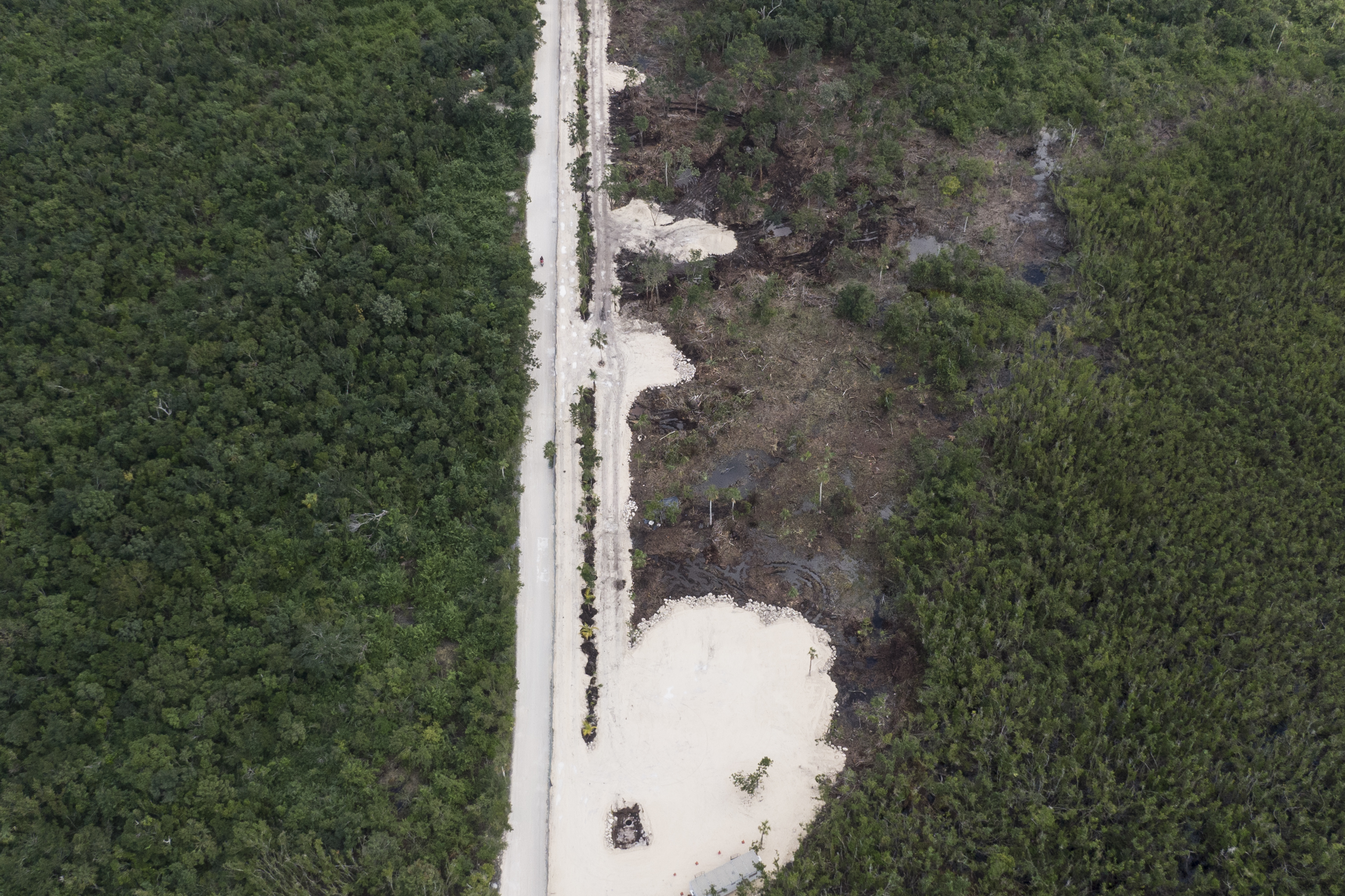 Cozumel, the Mexican island taking a stand against cruise ships |  International | EL PAÍS English