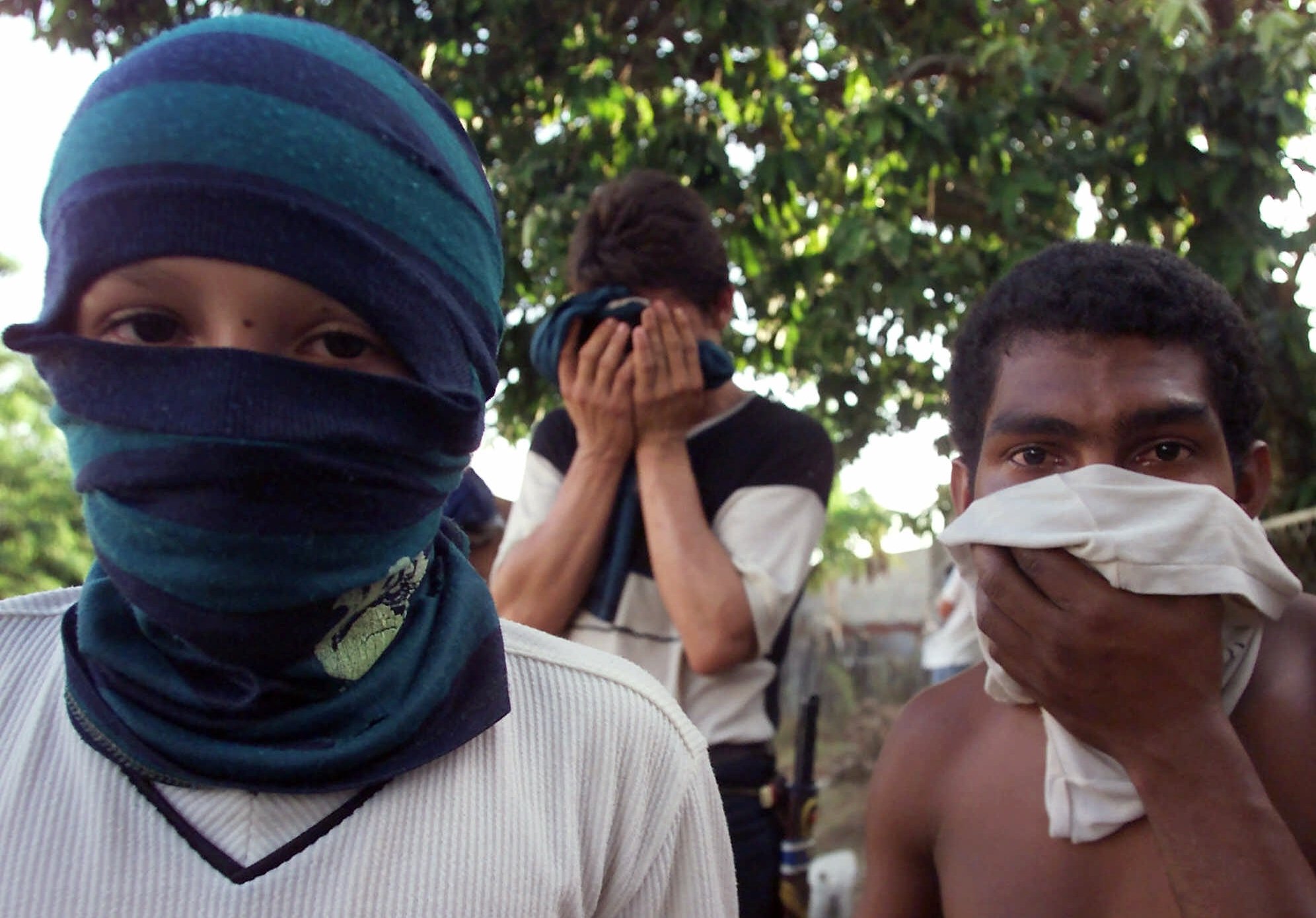 Tibú, the Colombian town with the most coca in the world, but no judge or  mayor | International | EL PAÍS English