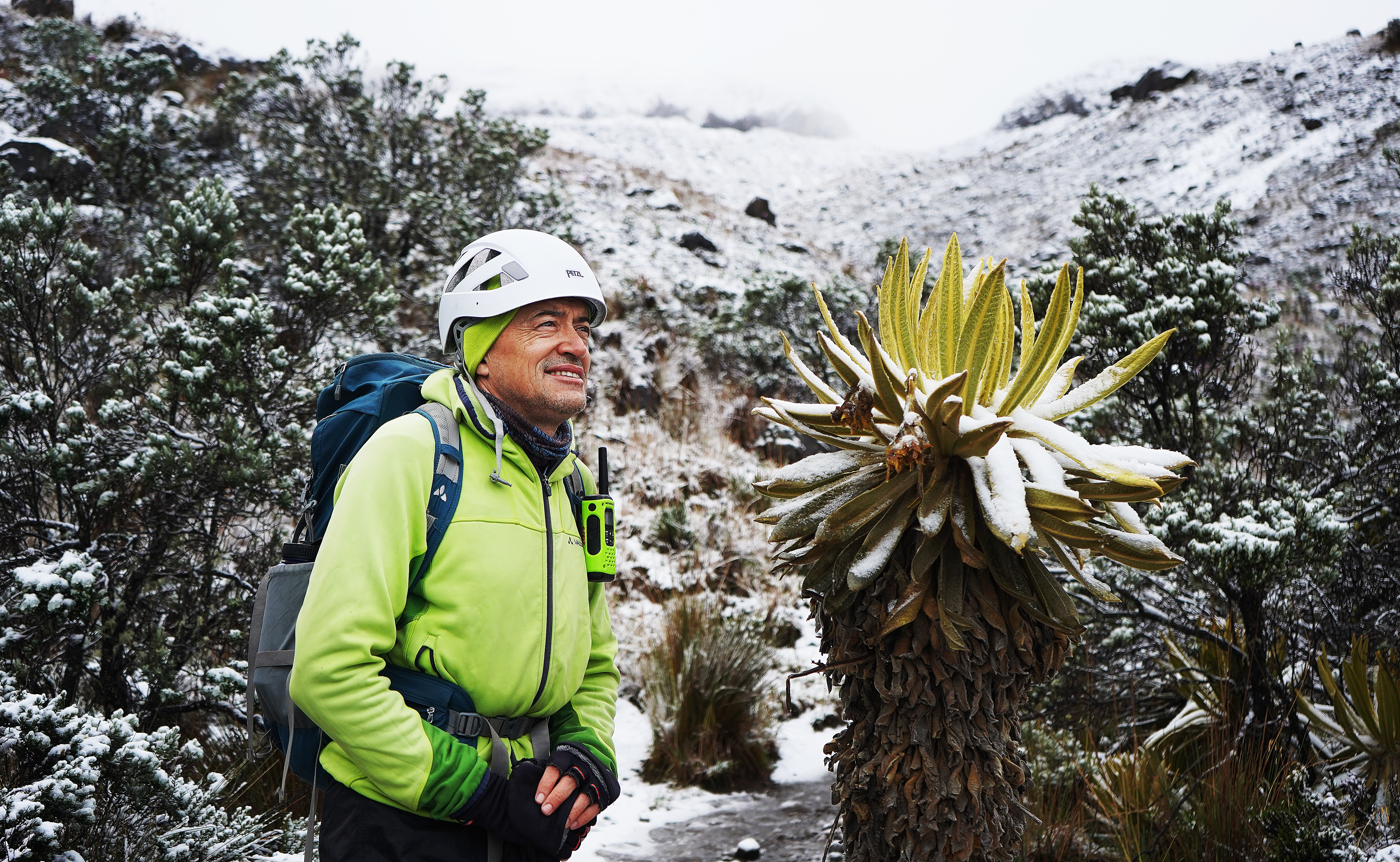 El geógrafo Jorge Luis Ceballos durante la ascensión al glaciar Conejeras. A su derecha, un frailejón, la planta típica del páramo colombiano.