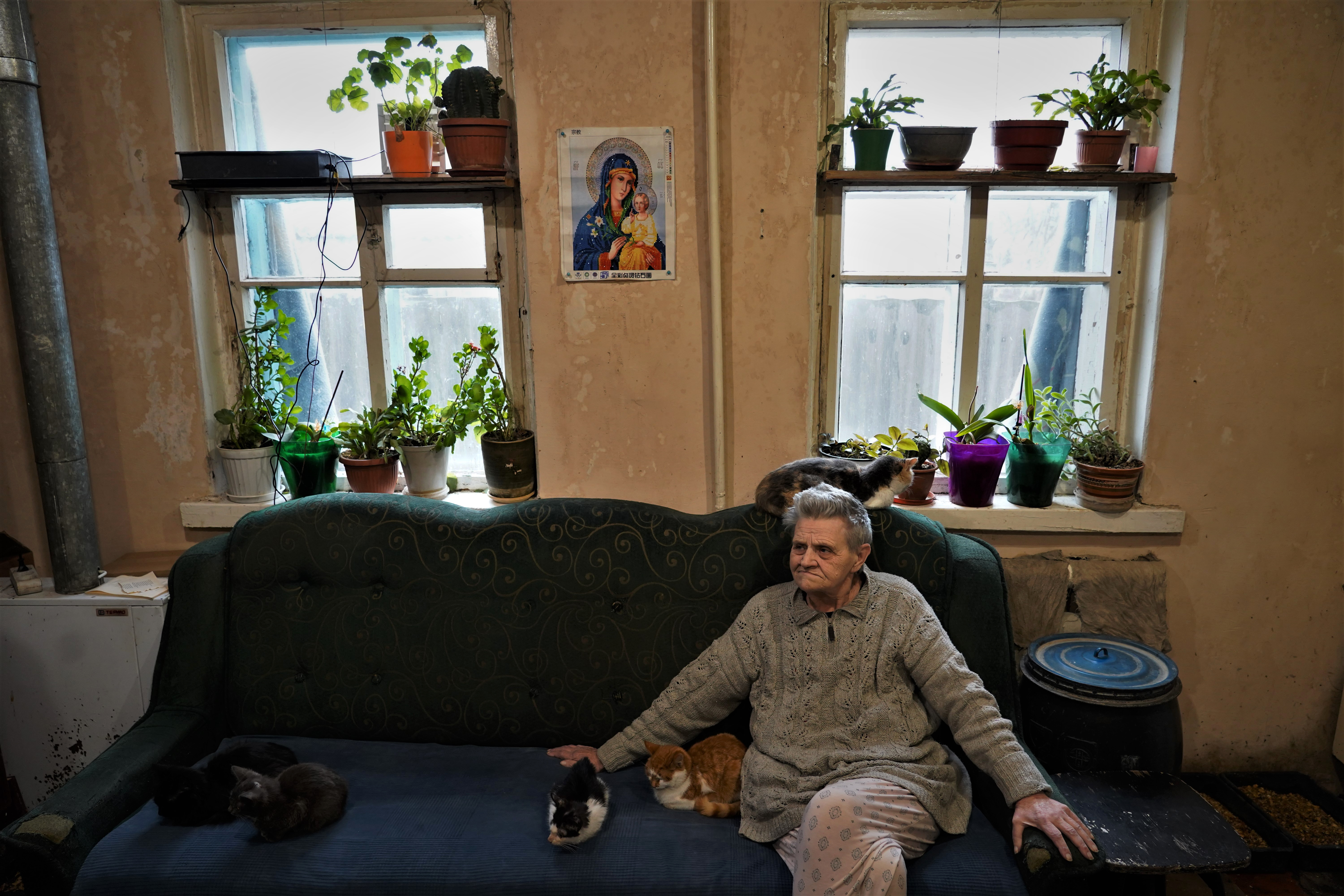 A avó Nina, de 76 anos, com alguns dos 25 gatos que ela acolheu de vizinhos que deixaram a cidade de Makarove.