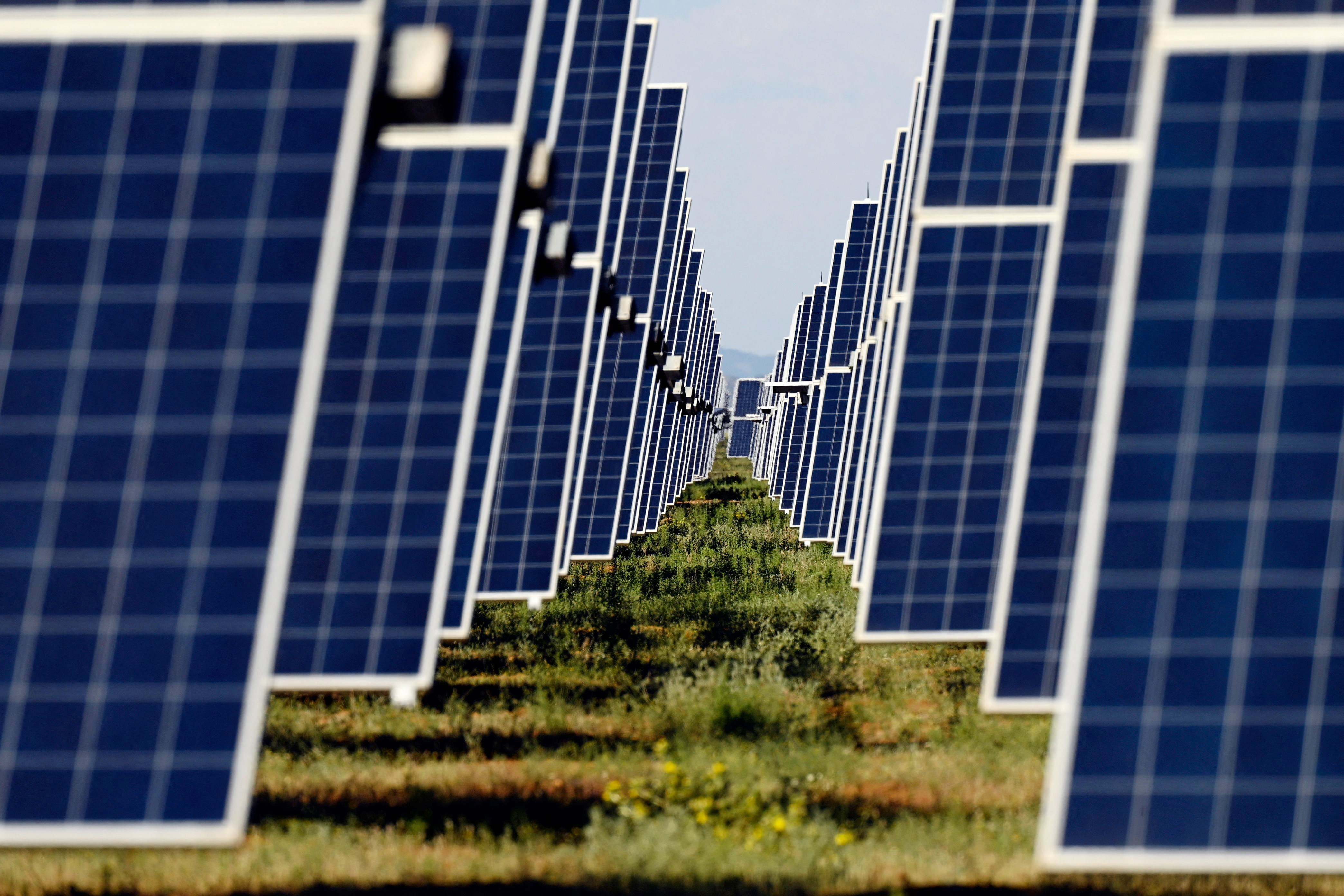 ¿Quiere abrir una planta fotovoltaica en España? Ármese de paciencia y rodéese de una cohorte de abogados