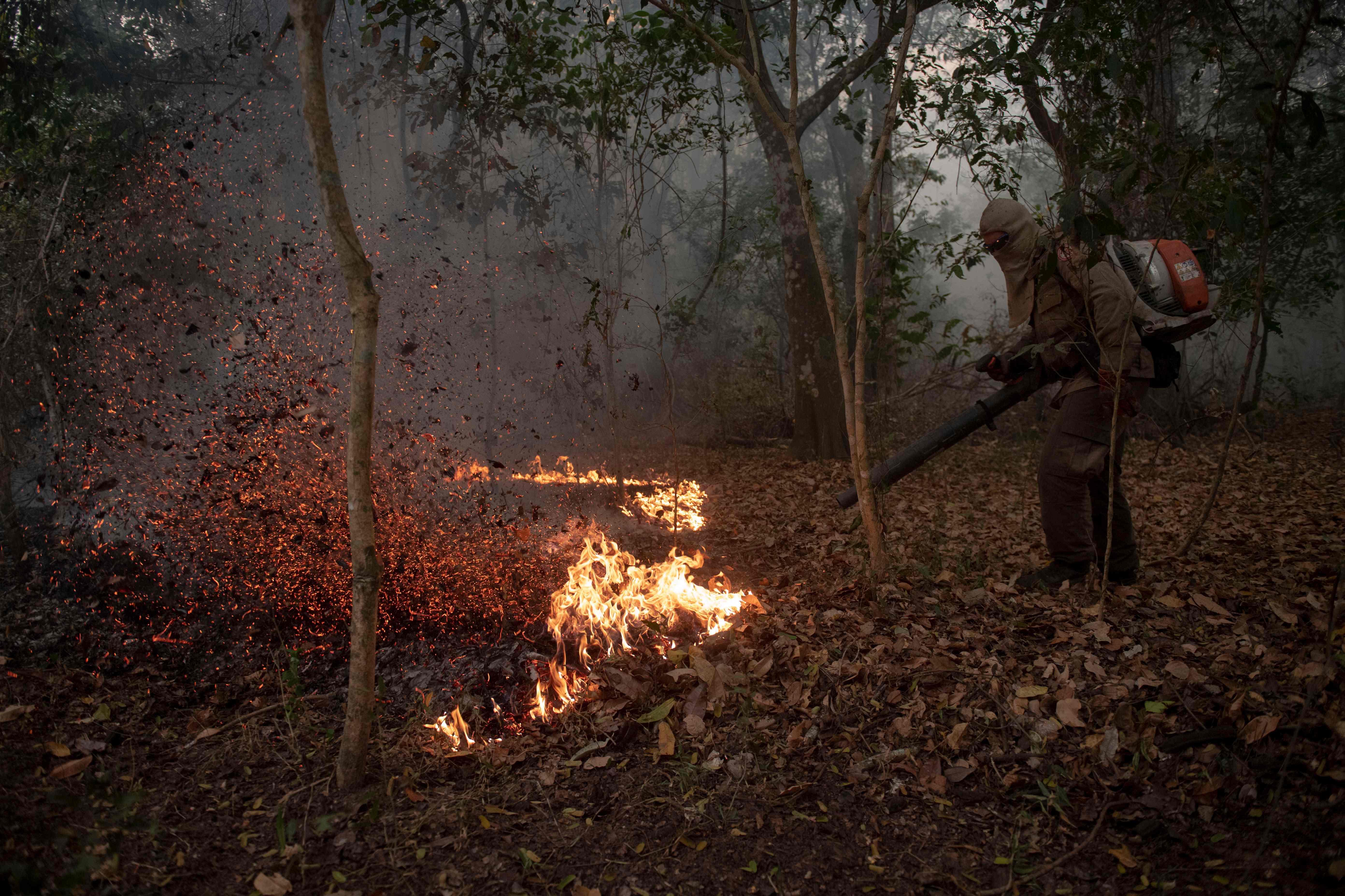 Brasil em Chamas: do Pantanal à Amazônia, a destruição não respeita  fronteiras - Greenpeace Brasil