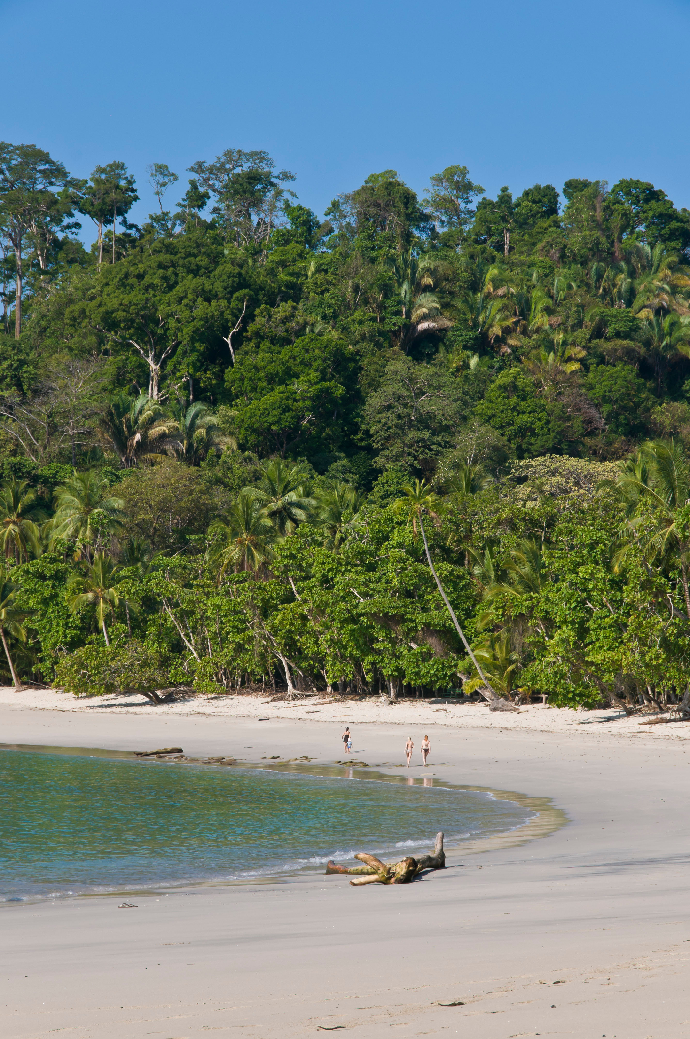 Viajes a costa rica desde barcelona | Mycausewaycafe.com