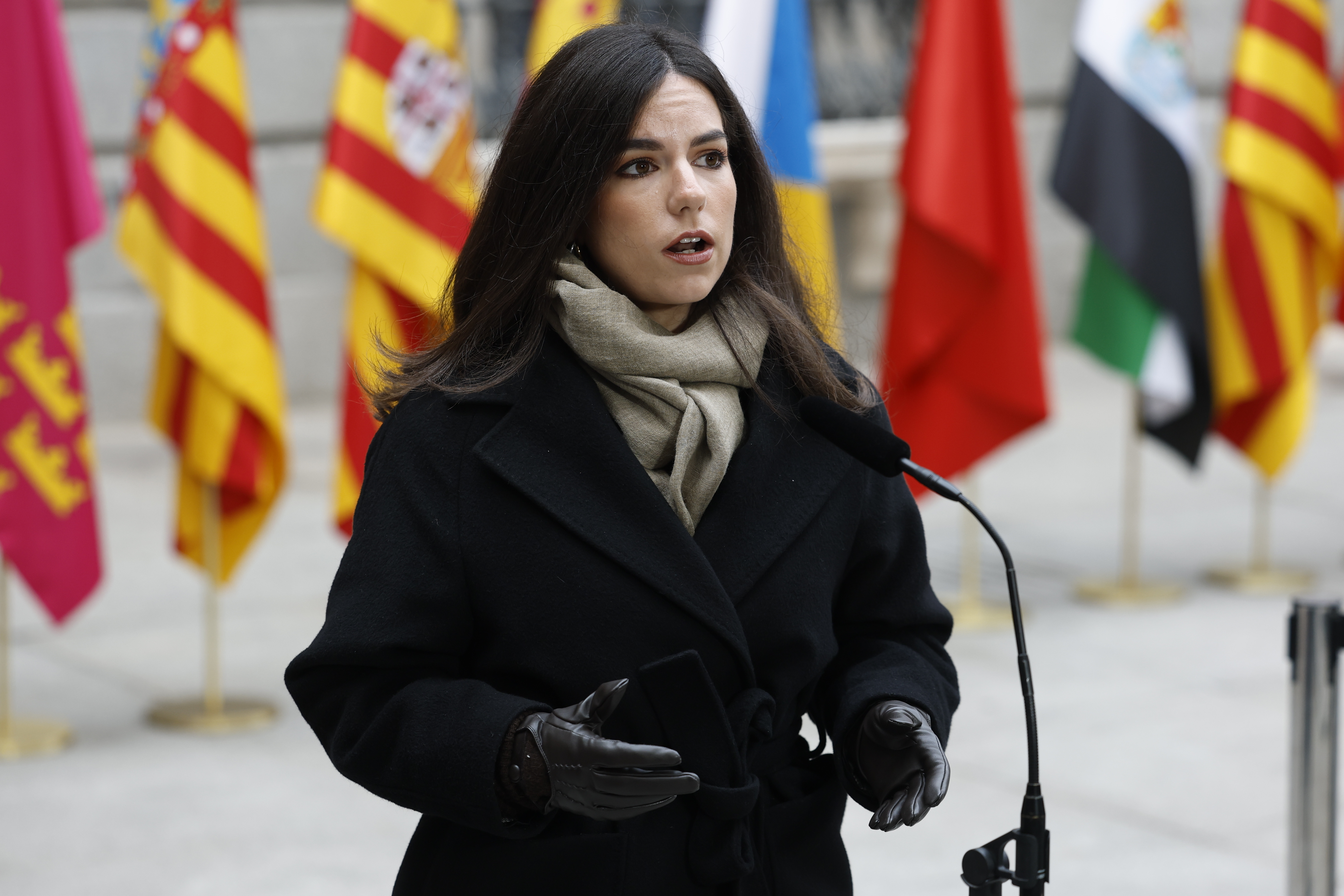 MADRID, 06/12/2025.- La portavoz de Vox en el Congreso, Pepa Millán, hace una declaración a la prensa tras el acto de izado de la bandera celebrado en el marco del acto institucional por el Día de la Constitución, este sábado, en Madrid. EFE/Chema Moya