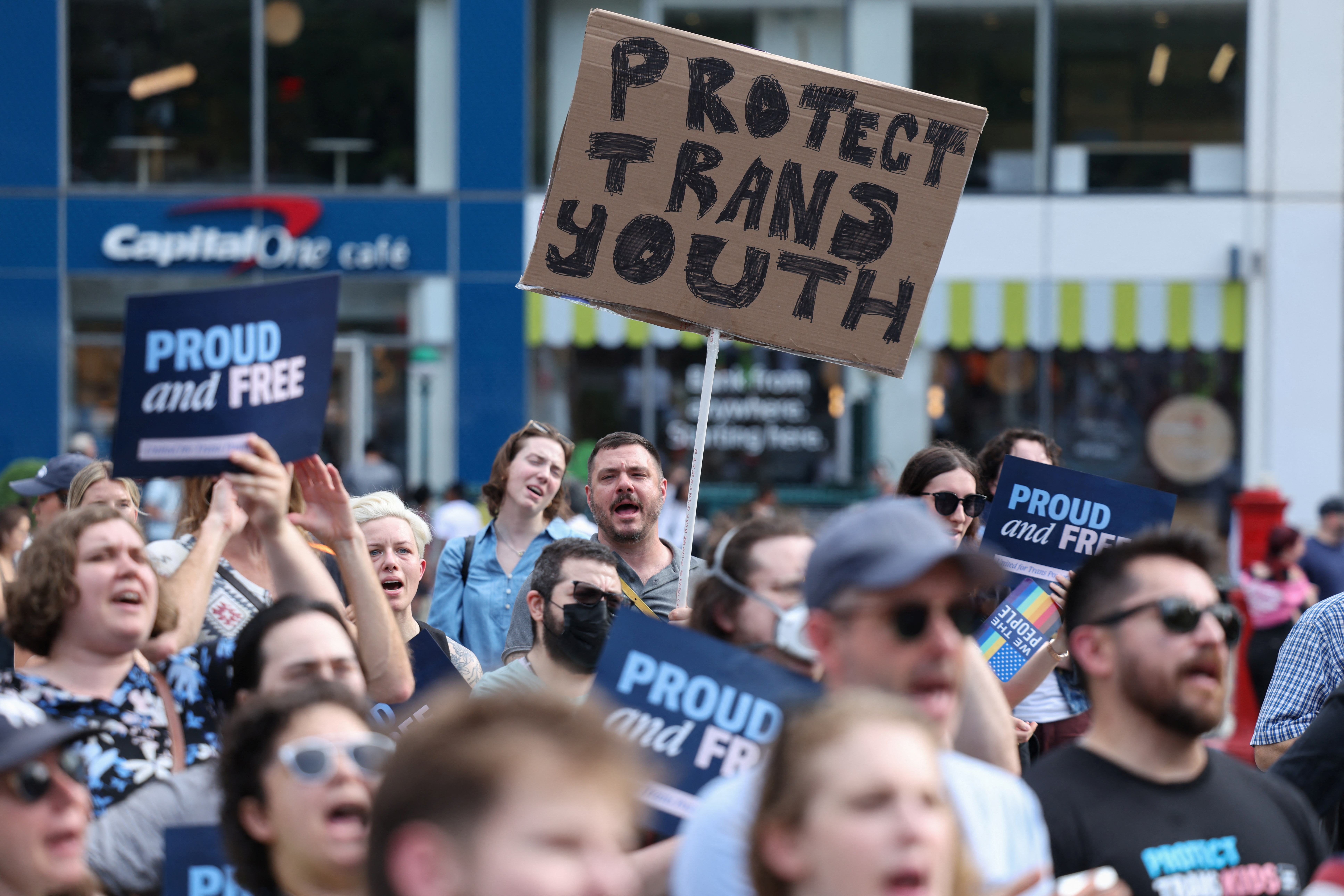 Darwinist feminism: Dismantling the myth of female sexual passivity – EL PAÍS English