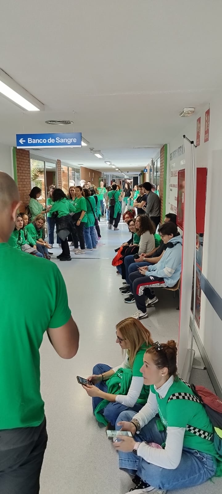 Profesores acuden a donar sangre en Madrid