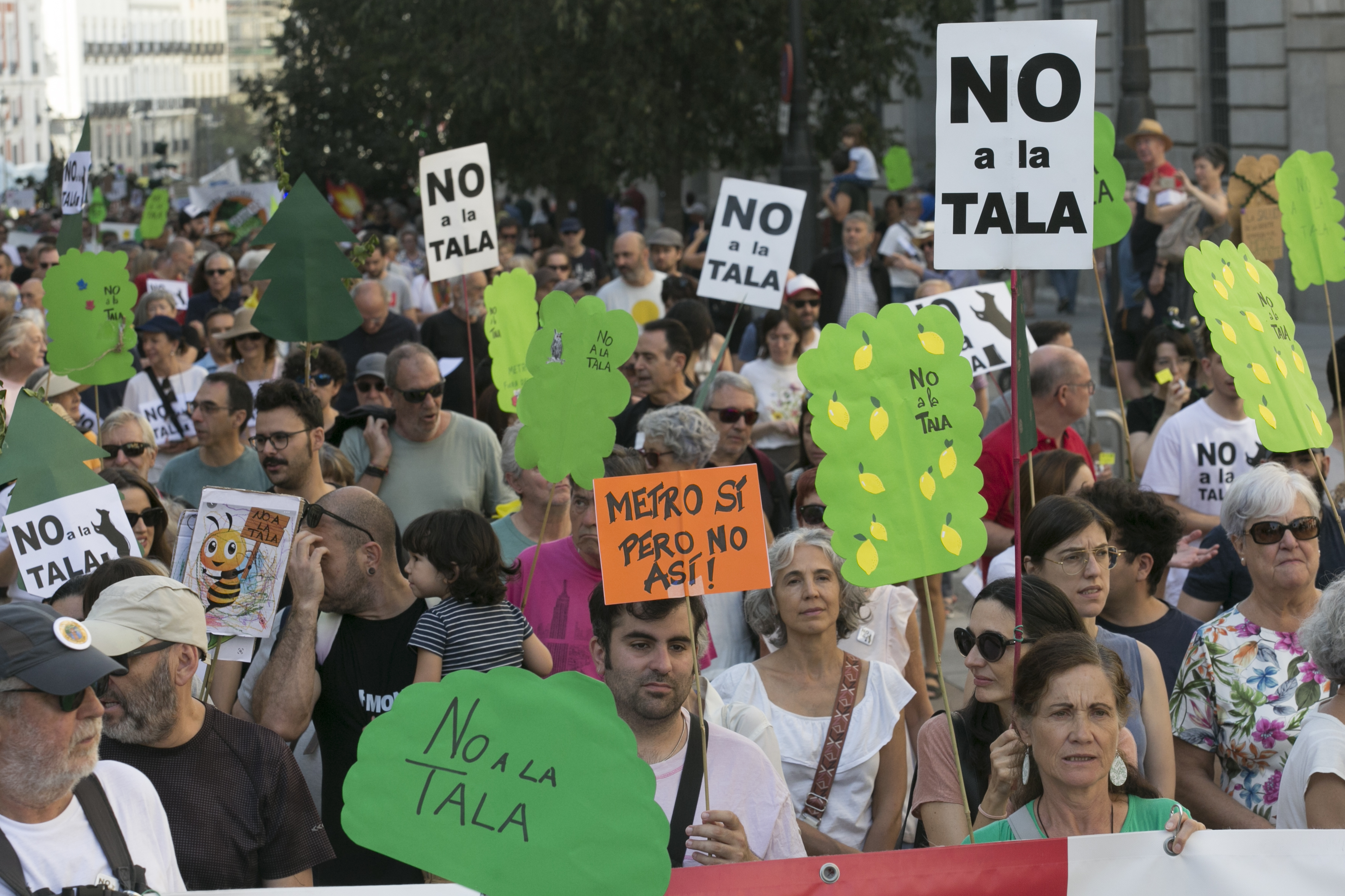 Manifestación