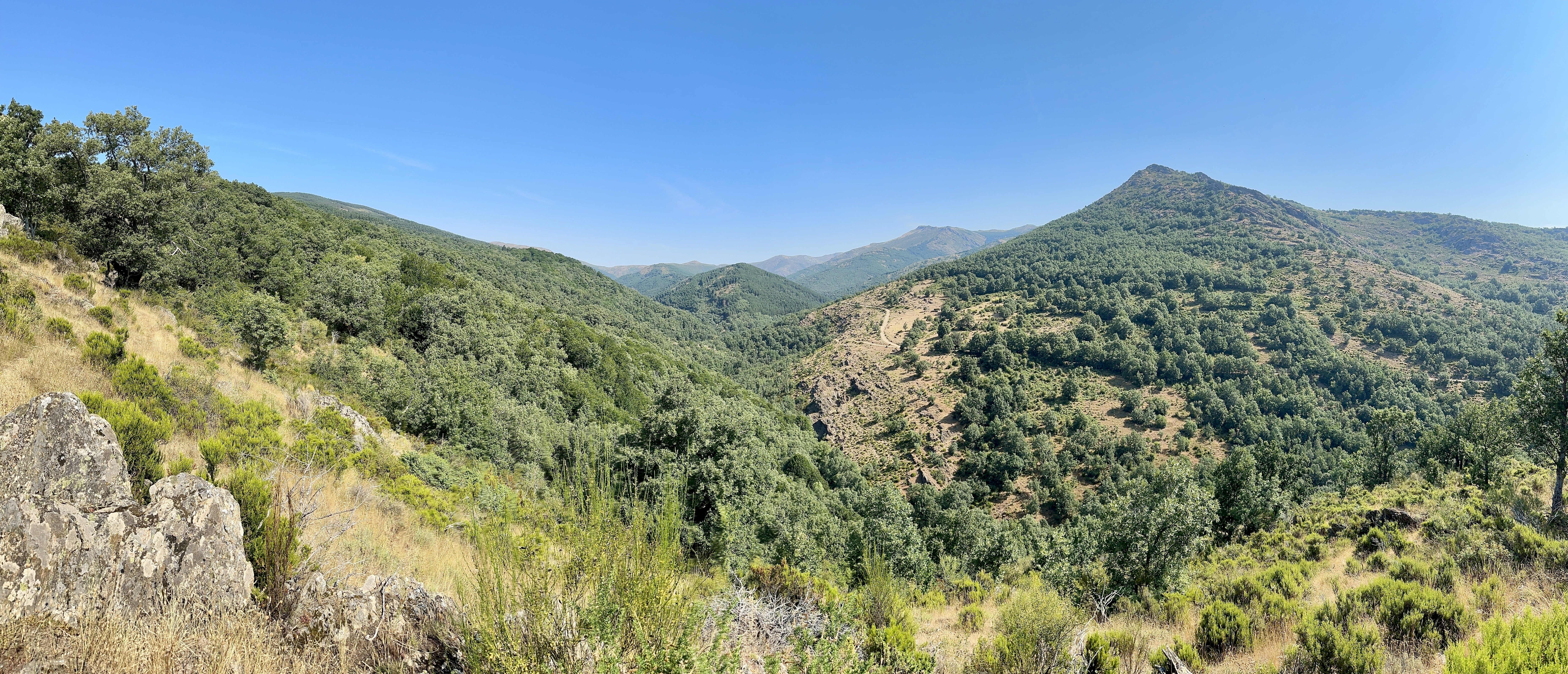 Hayedo de Montejo desde un mirador.