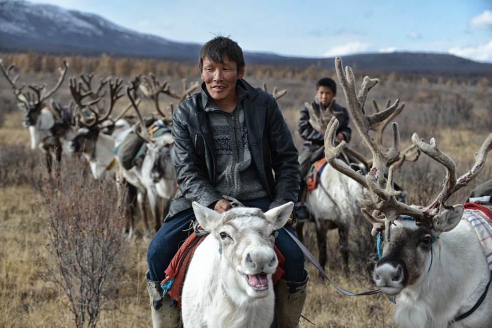 250 nómadas de Mongolia entre renos y madera | Fotos | Planeta Futuro | EL  PAÍS