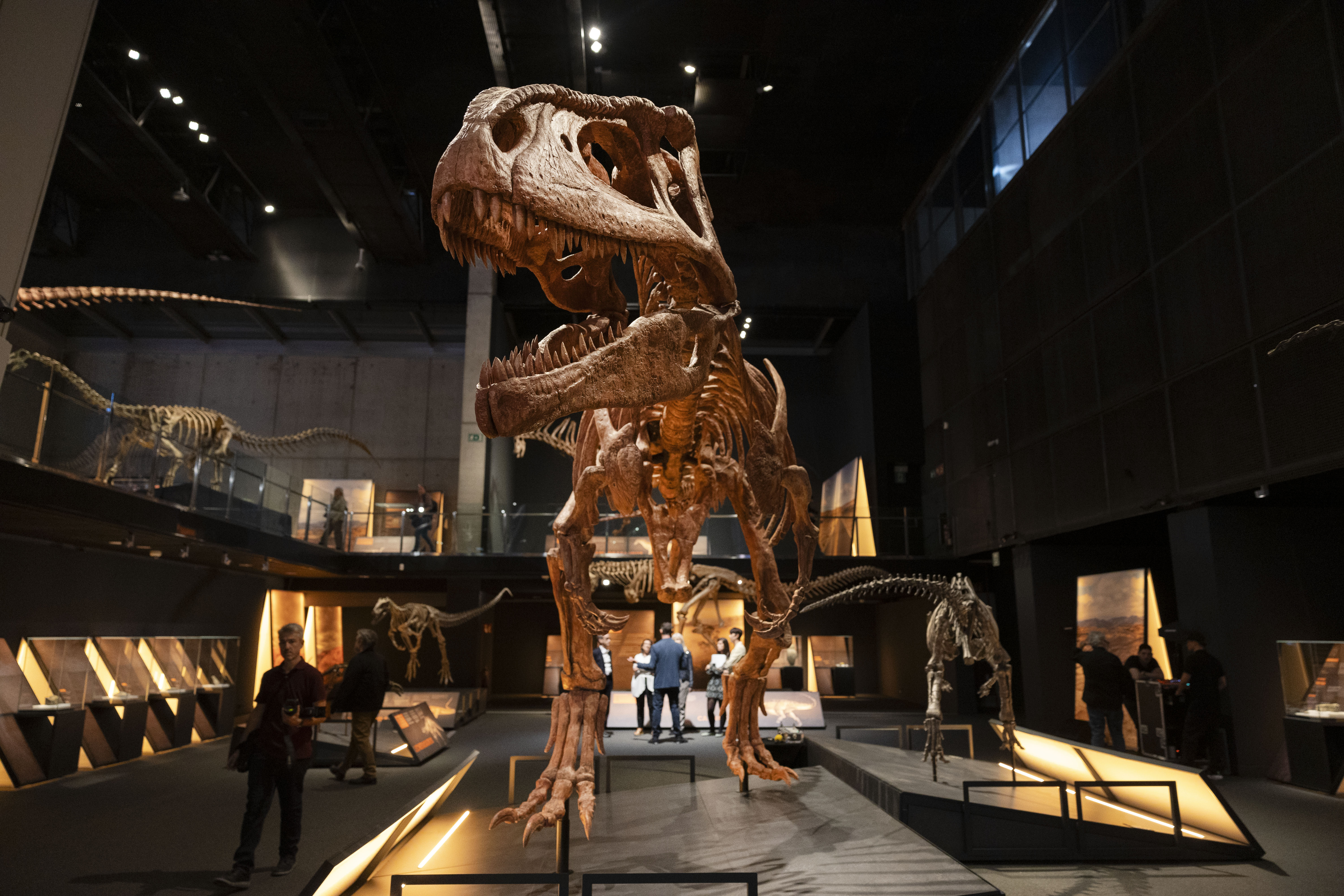 El dinosaurio más grande del mundo, Patagotitán, hace pequeño CosmoCaixa
