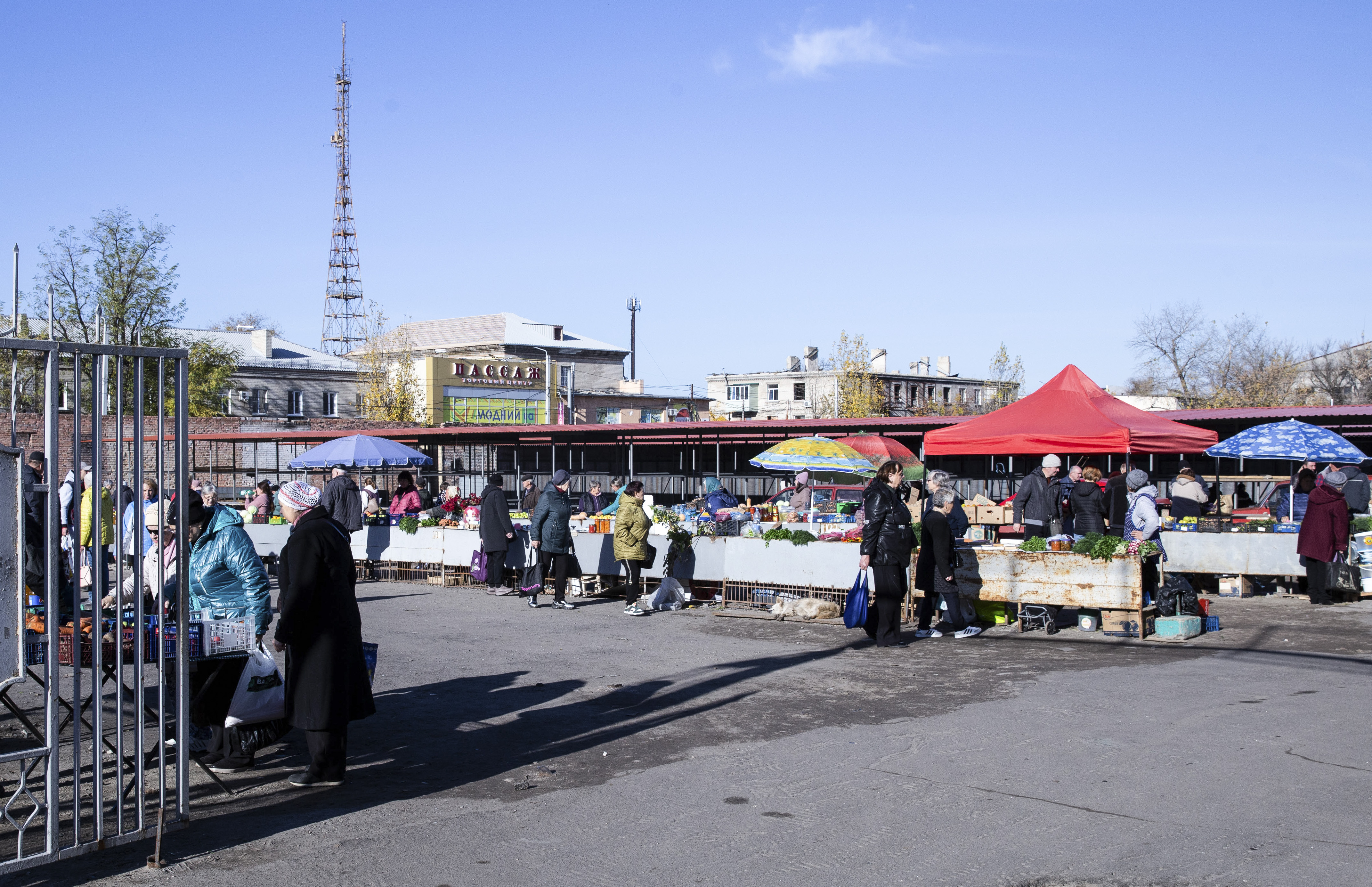Decenas de personas recorren el mercado central de Severodonetsk, el pasado 31 de octubre.