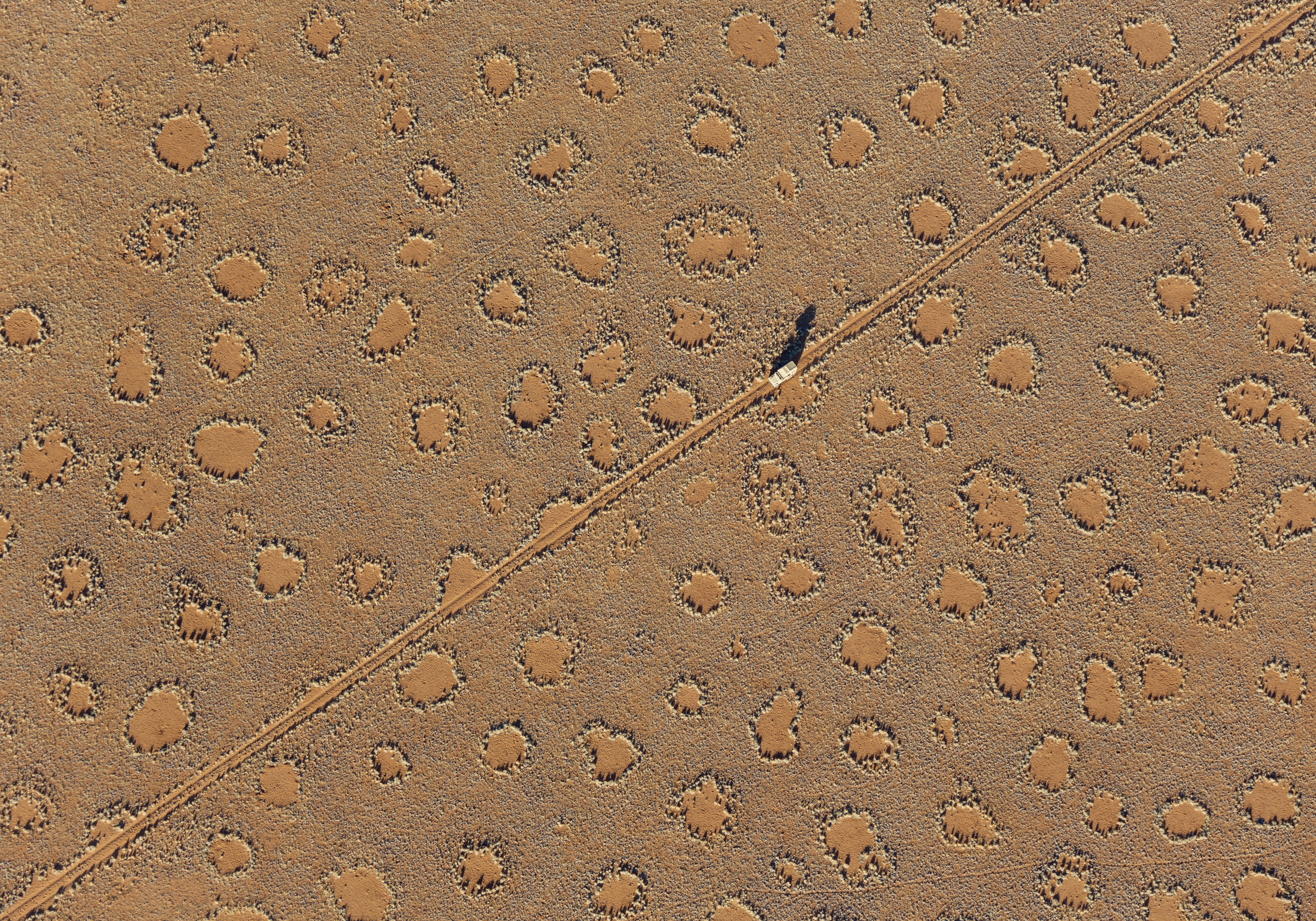 Los 'círculos de hadas' solo habían sido descritos en Namibia, como este fotografiado desde un globo aerostático, y en Australia, pero los hay en otros 13 países.