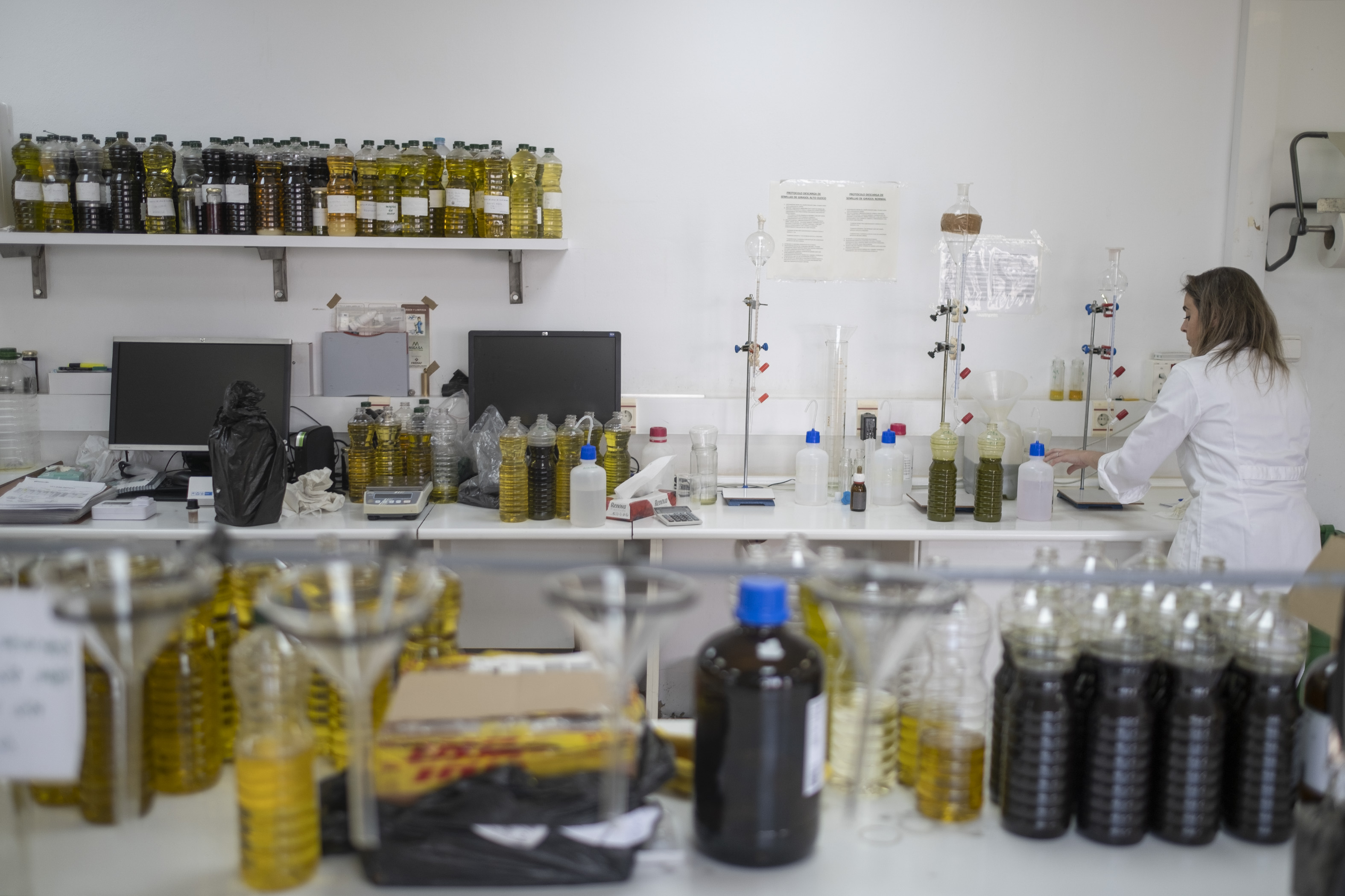 Laboratorios de Prodosa para el análisis de las muestras de aceite de orujo de oliva obtenidas en las distintas fases de elaboración.