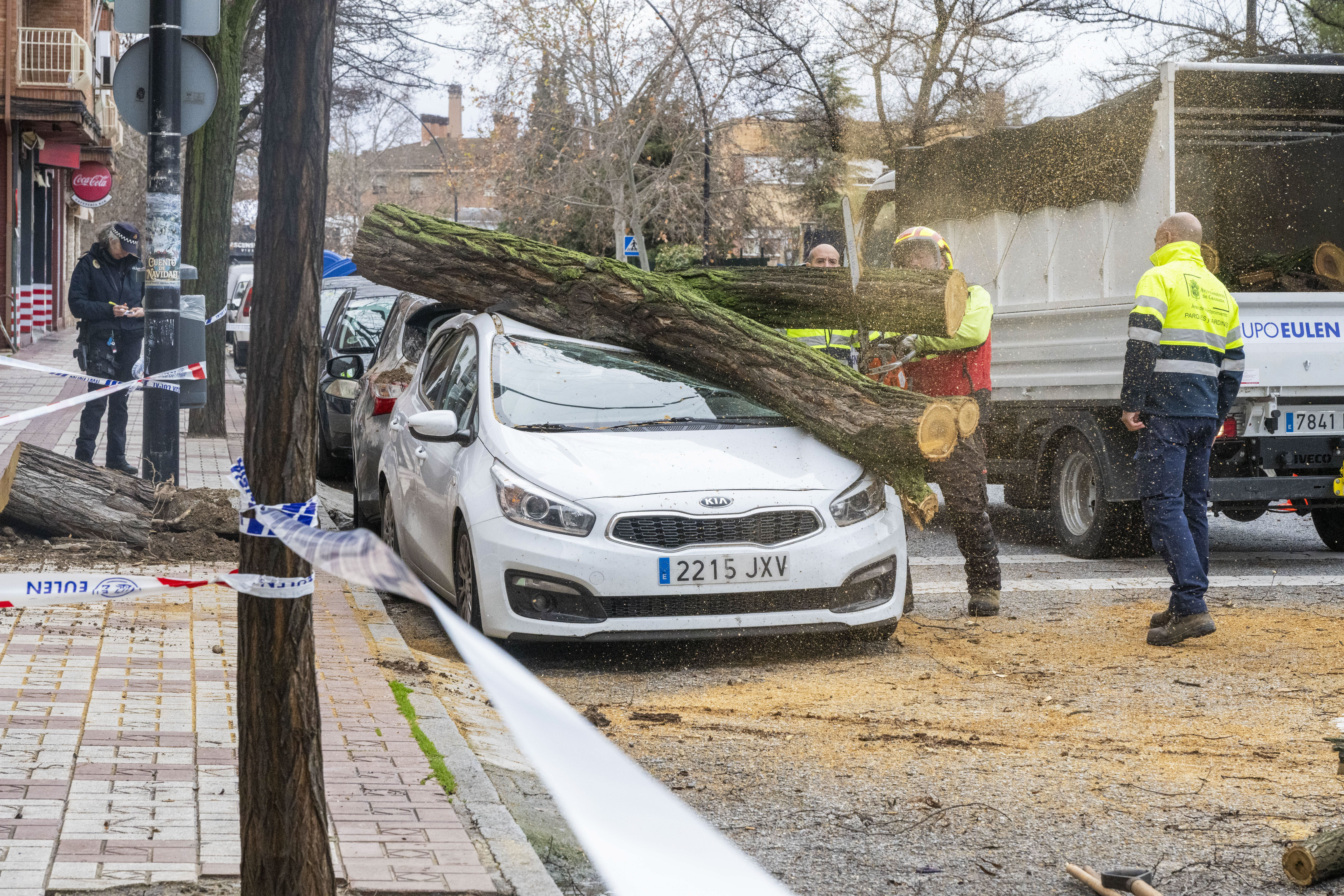 El paso por España de la borrasca Kristin ha afectado a Granada con fuertes vientos que han hecho caer árboles.