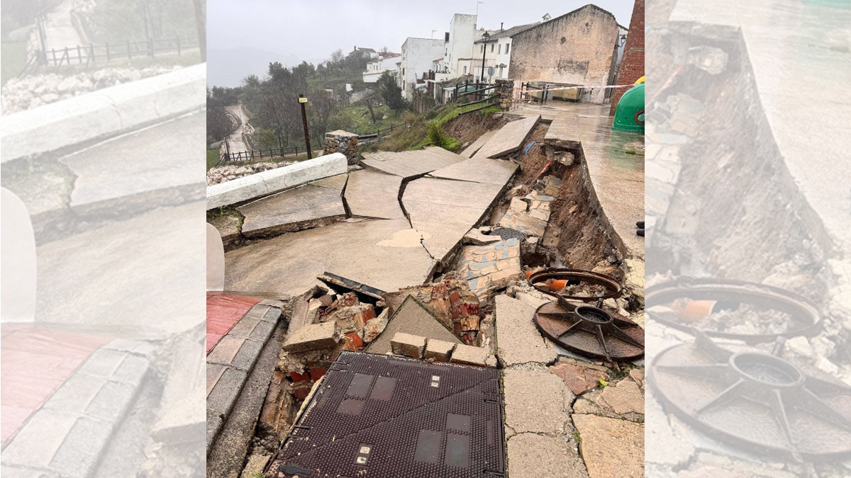 Daños causados por 'Leonardo' en la provincia de Málaga, este viernes. 