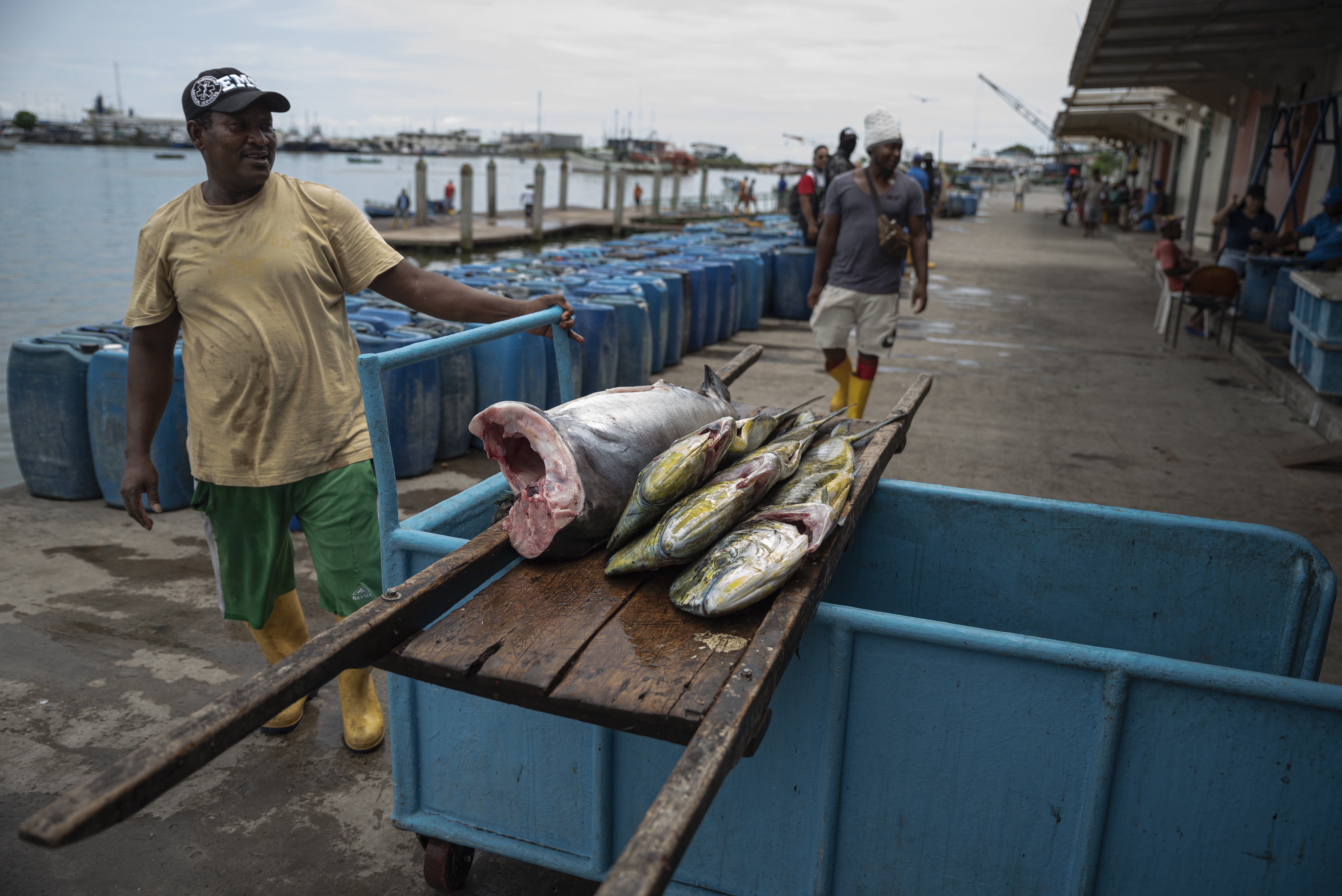 Três dourados e quatro espadartes prontos para venda nas vinícolas Puerto Artesanal, em Esmeraldas, em 29 de abril de 2023.
