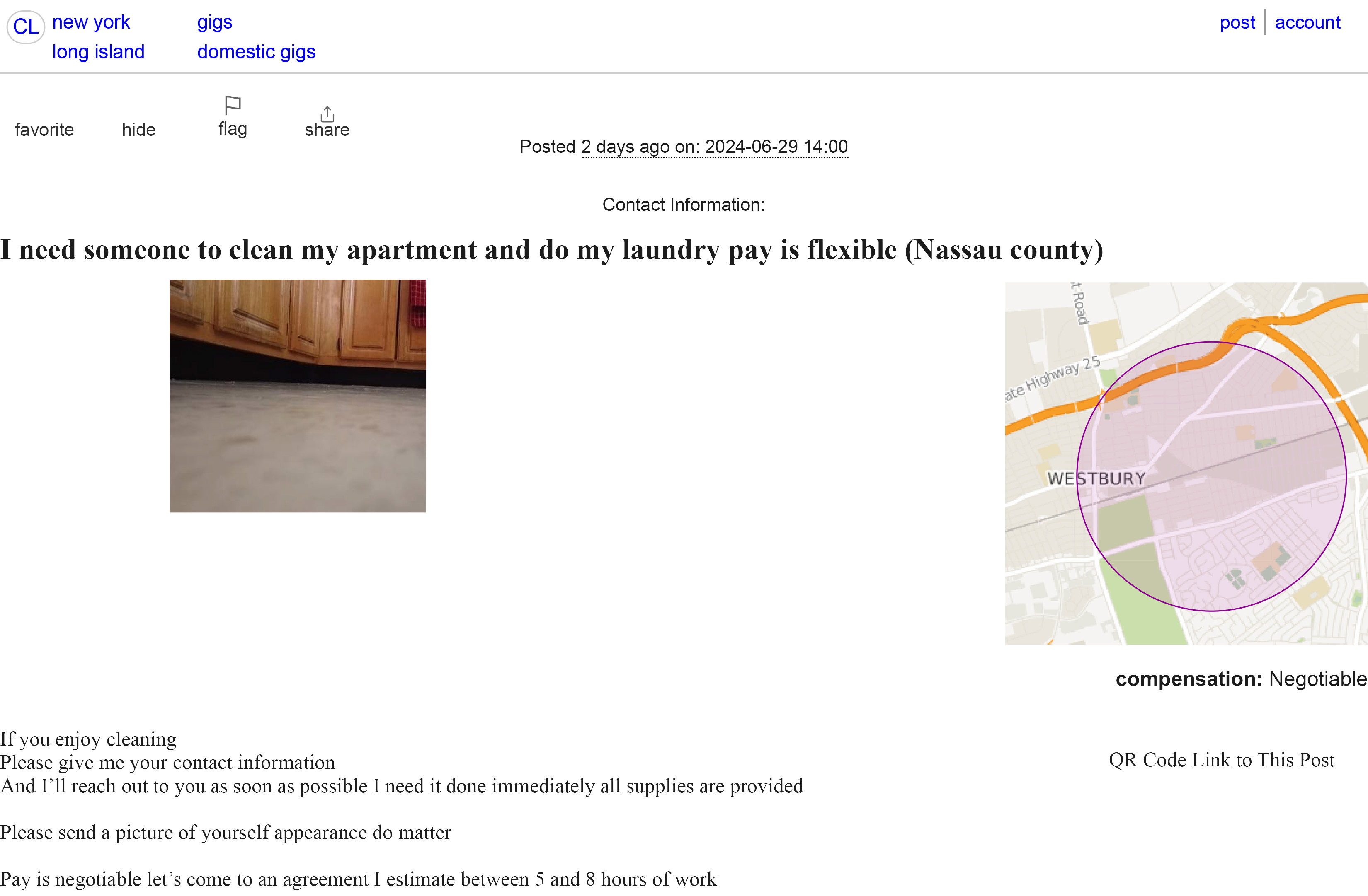 Bucear en los recodos de Craigslist: una alternativa para los inmigrantes  sin permiso de trabajo | Inmigración en Estados Unidos | EL PAÍS US