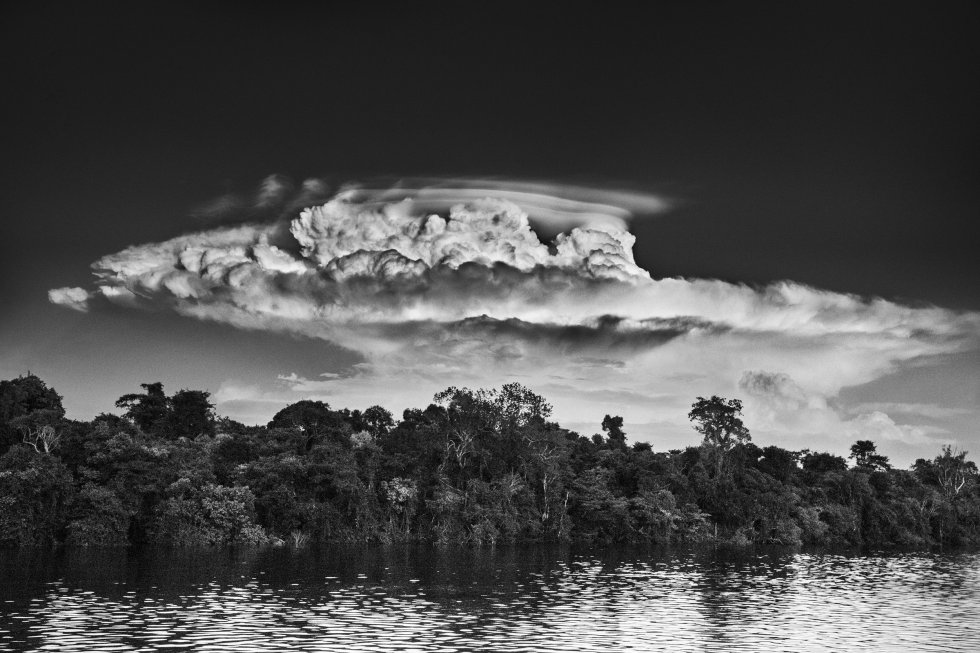 Almas de un bosque eterno | Fotos | EL PAÍS Semanal | EL PAÍS