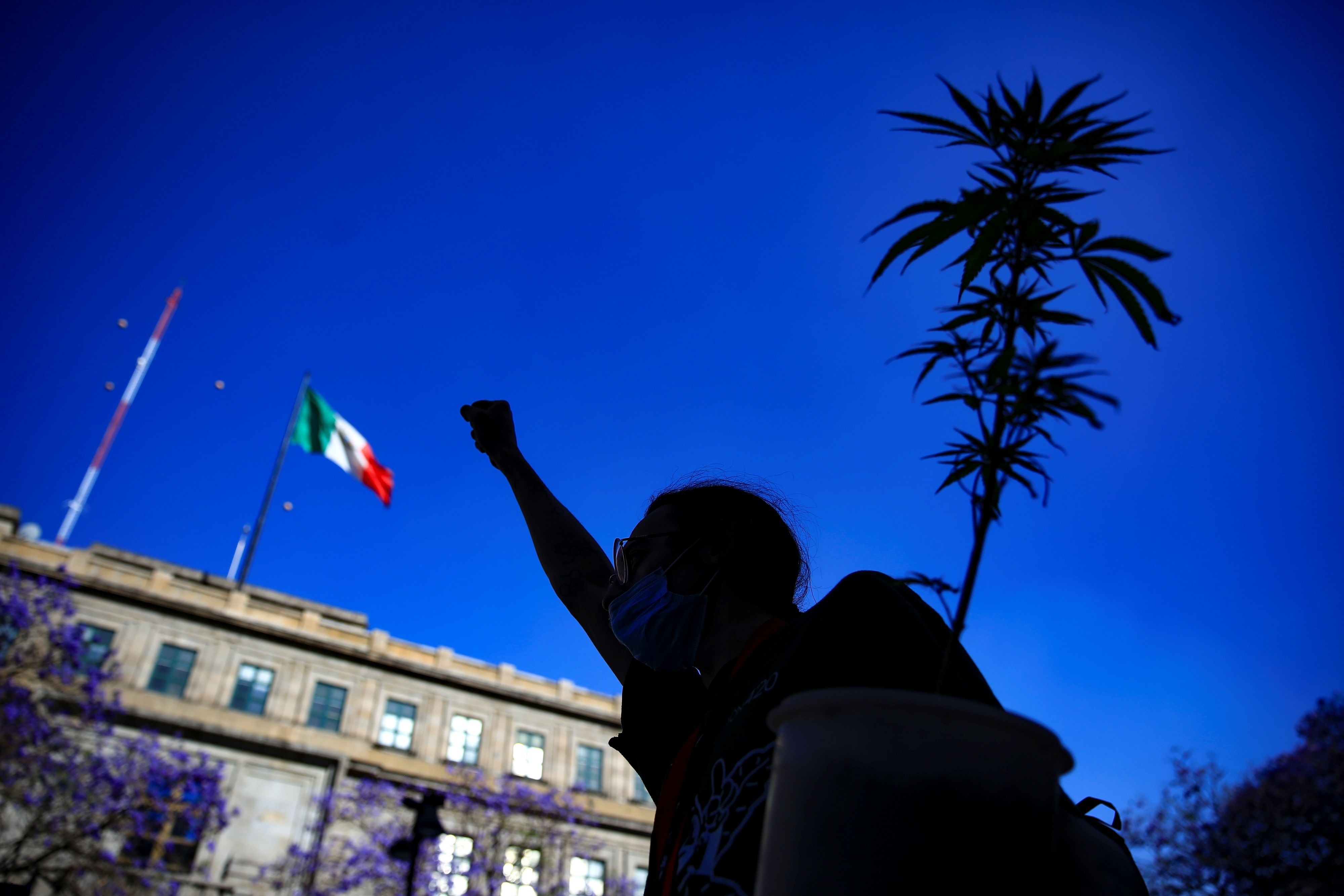 La Cámara de Diputados de México aprueba la legalización de la marihuana
