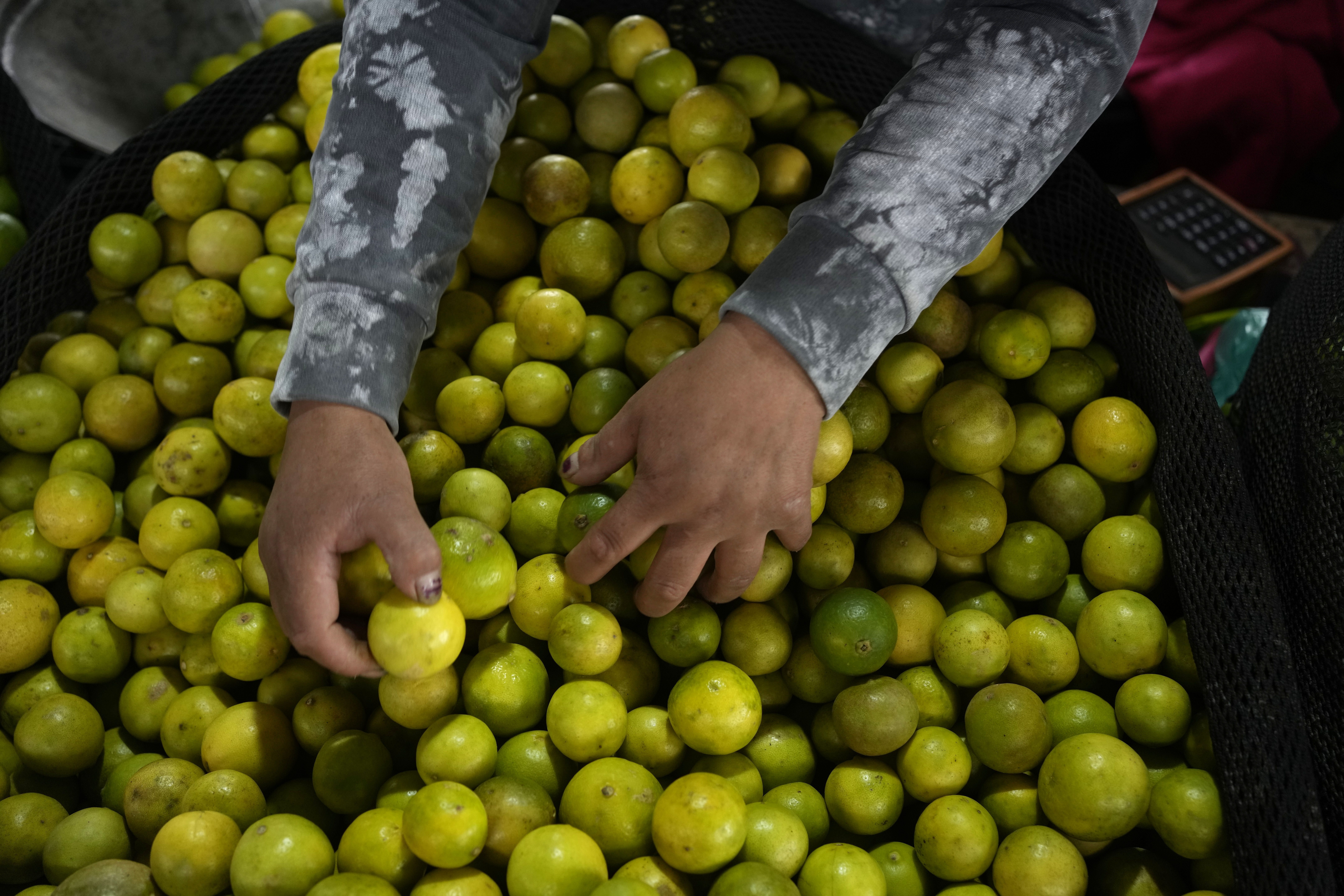 La crisis del limón: por qué el ceviche se ha convertido en un lujo para los peruanos