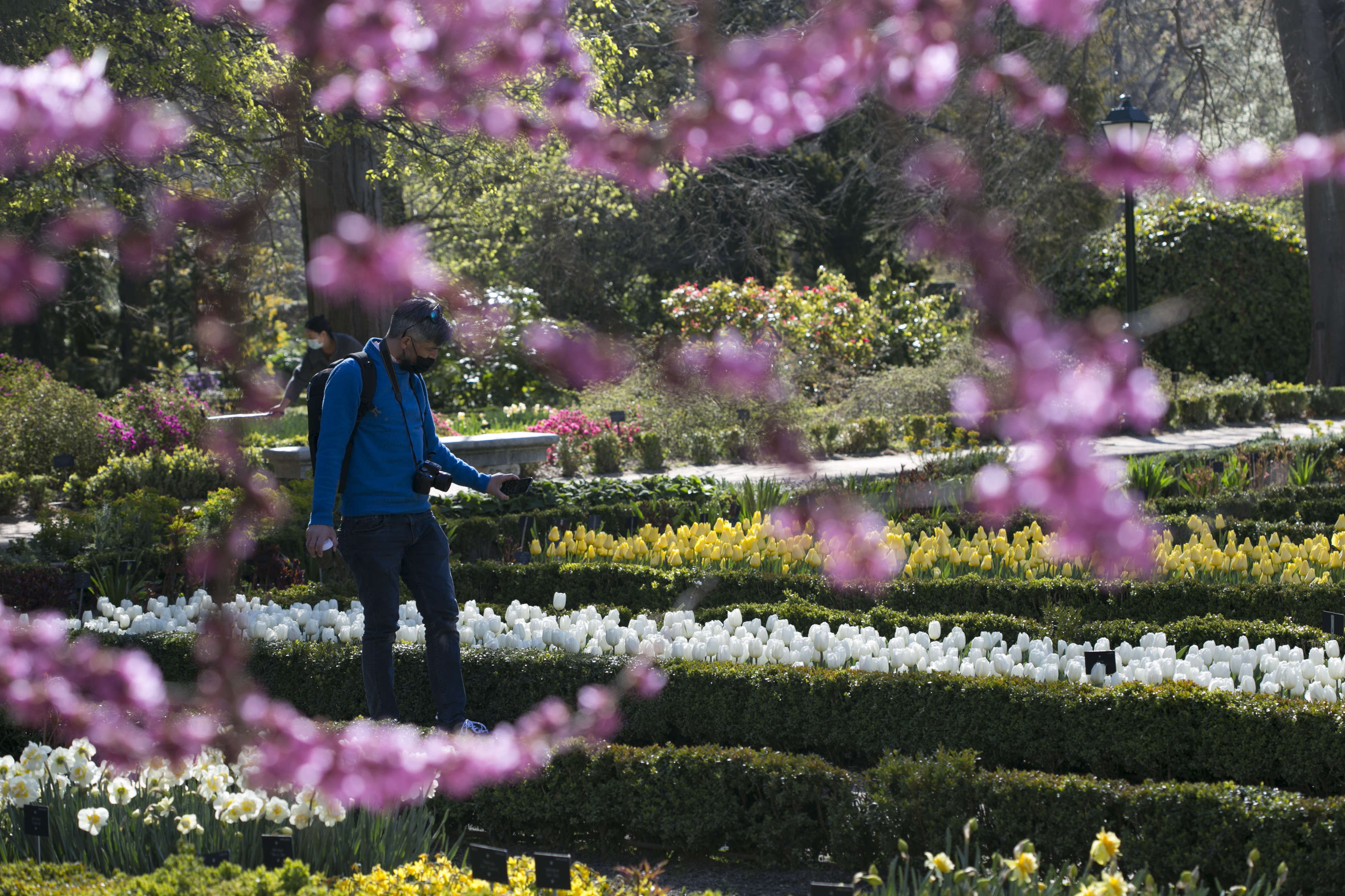 Un hombre pasea por el Real Jardín Botánico, en Madrid.