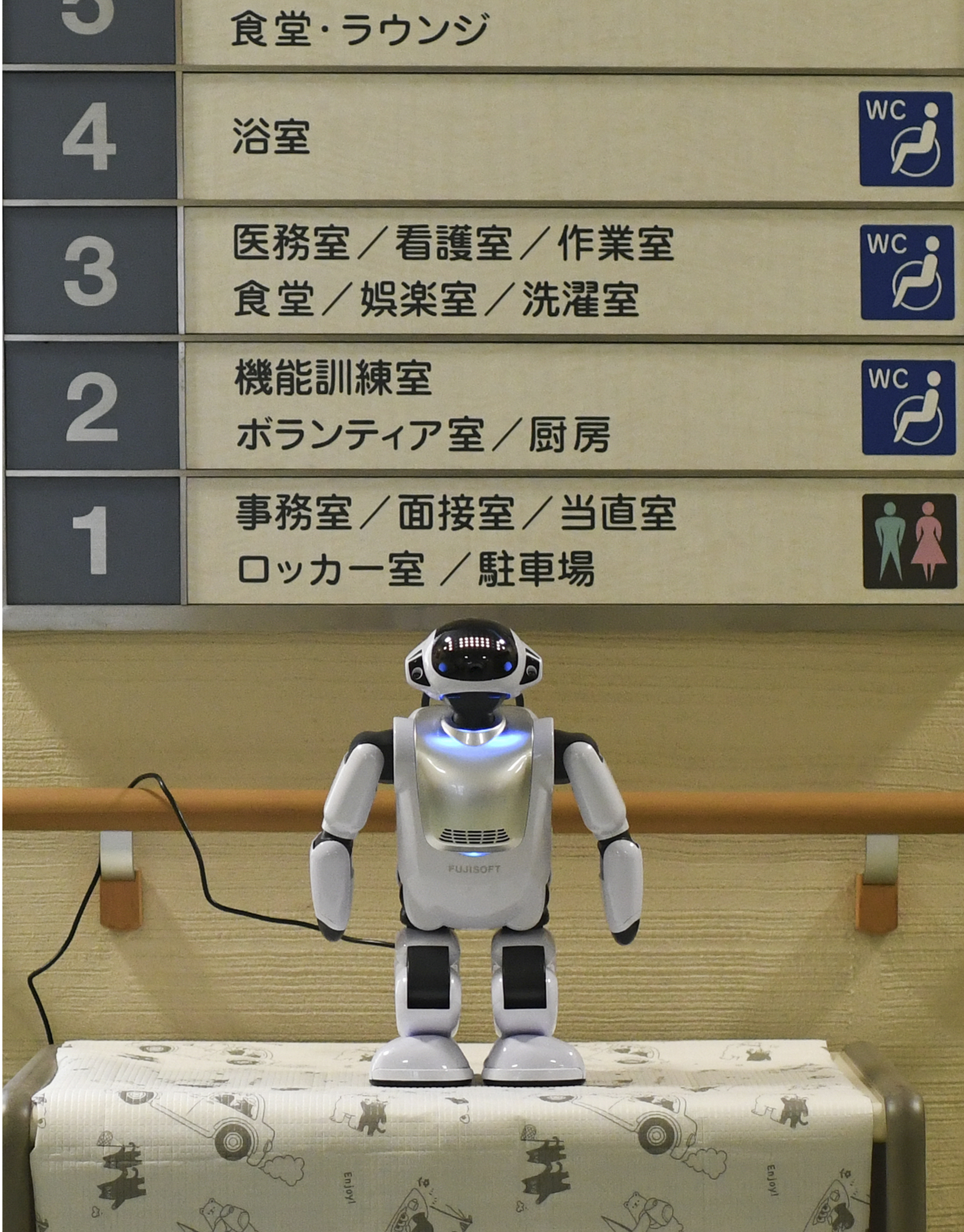 My robot and I: Japanese stories of technology and old age
