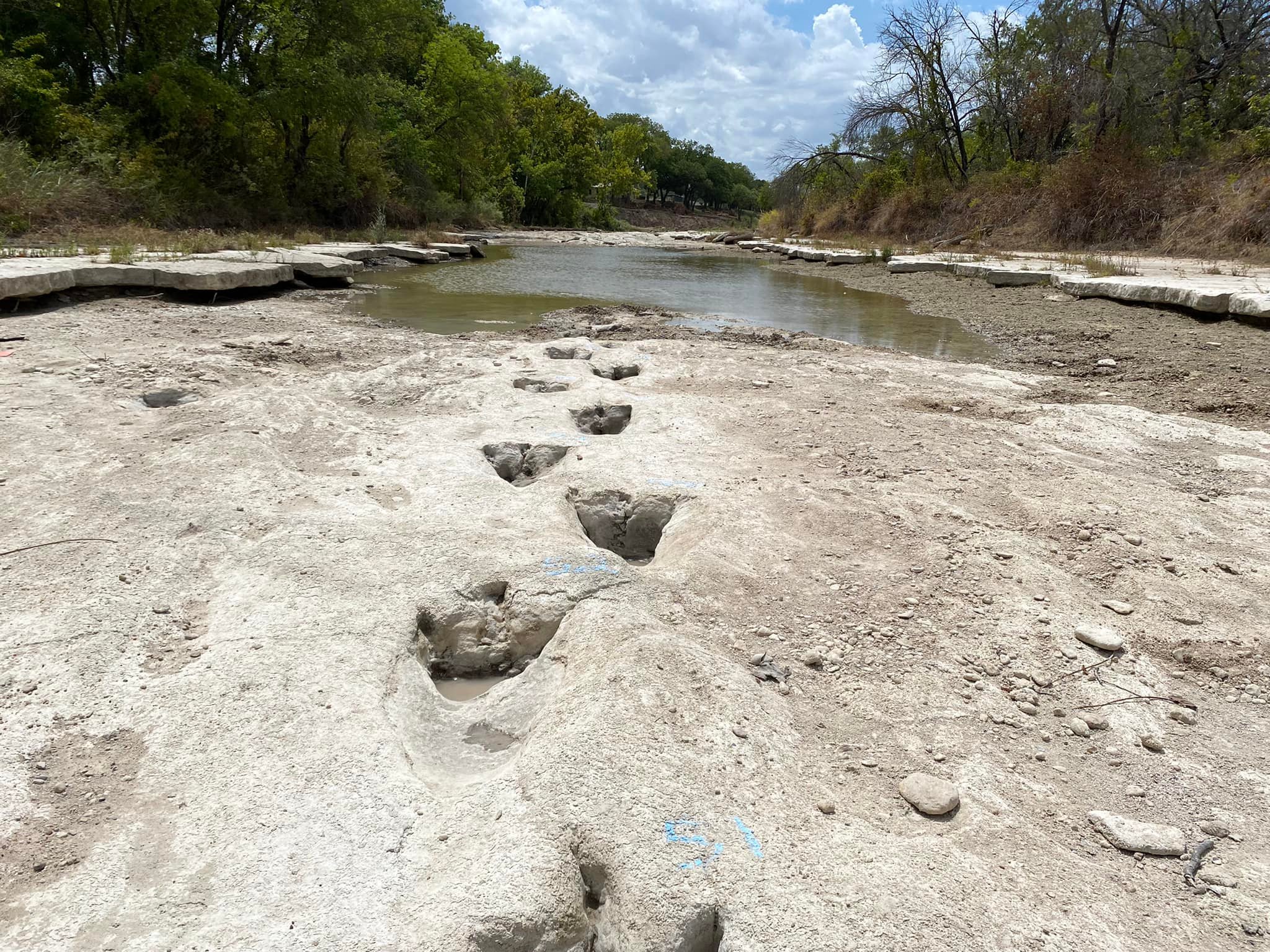 Huellas de dinosaurio descubiertas en el río Paluxy en Texas.