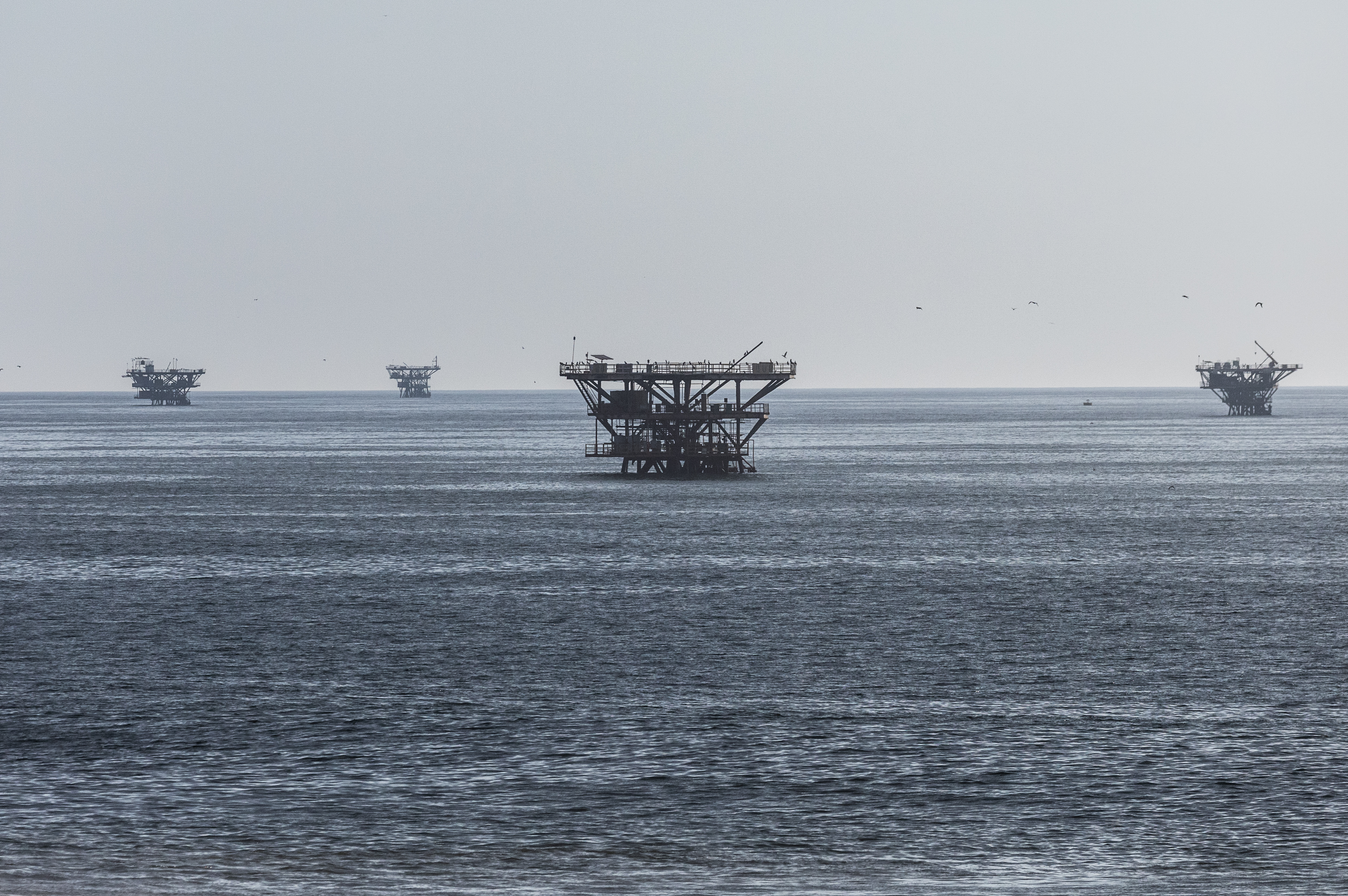 Una década esperando la ley que proteja el mar que produce la mayoría del  pescado que se consume en Perú | América Futura | EL PAÍS América