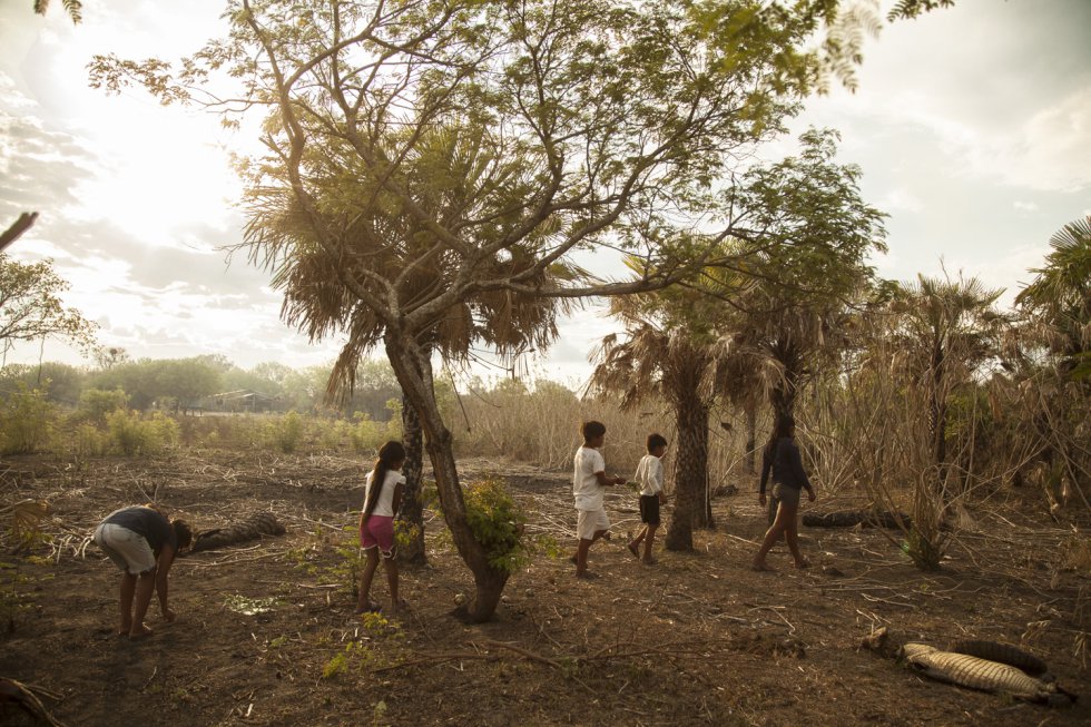 Las mujeres yshyr custodias de la tradici n en el Chaco paraguayo