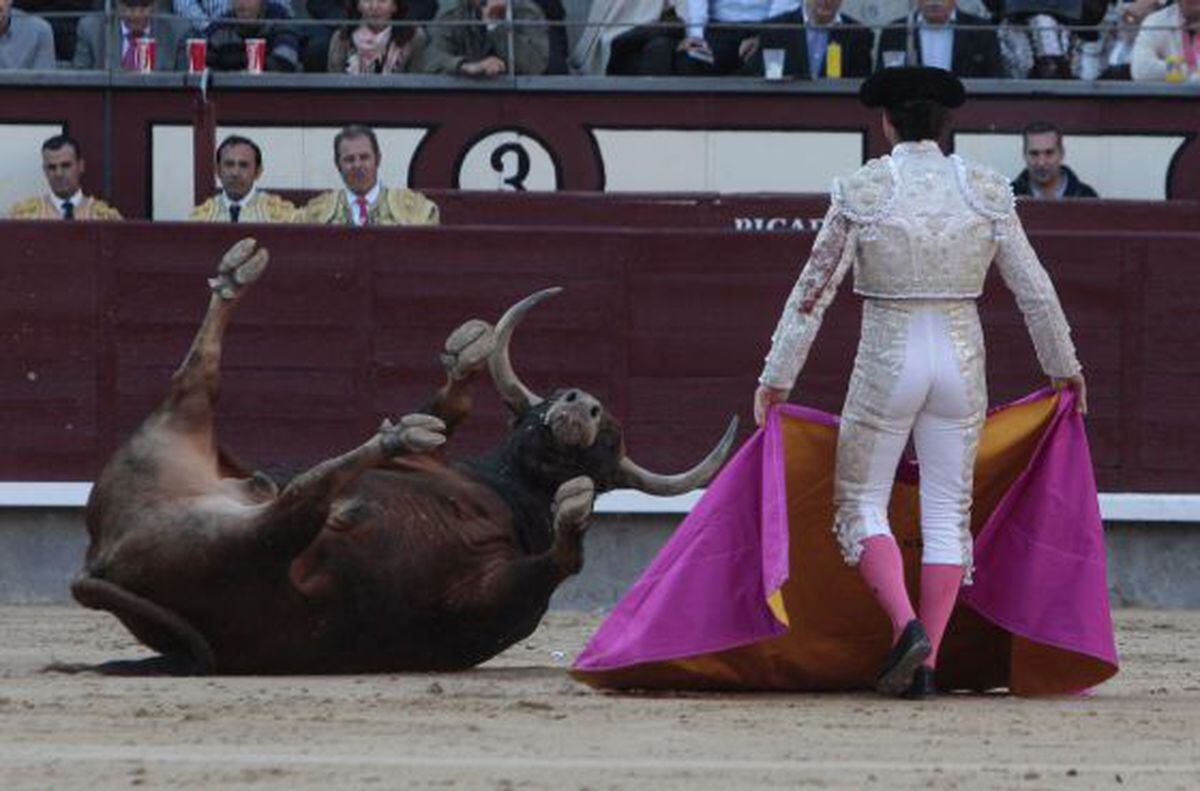 El palco presidencial pretende poner patas arriba la fiesta de los toros