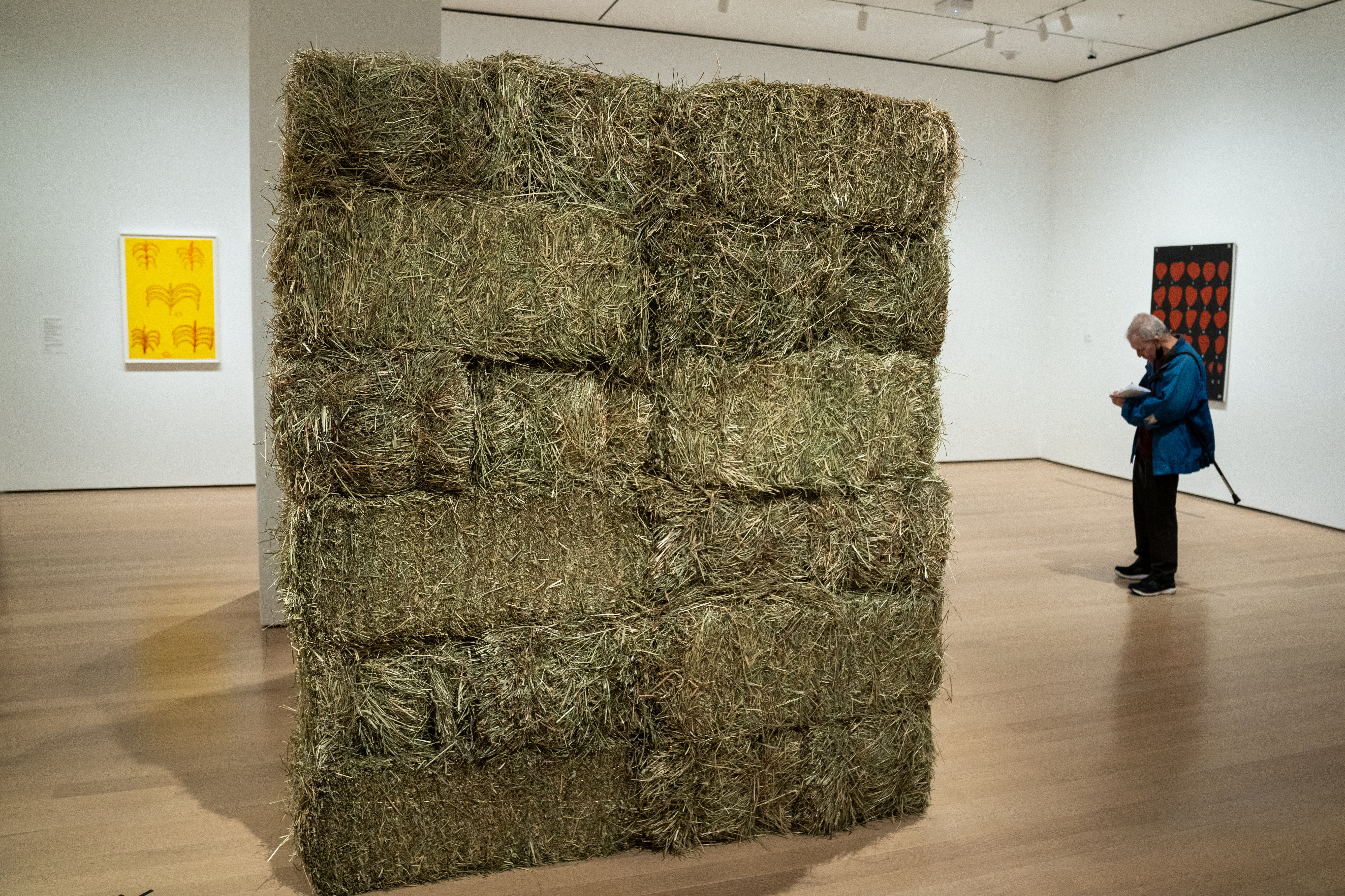 New York's MoMA takes off the colonial lenses | Culture | EL PAÍS
