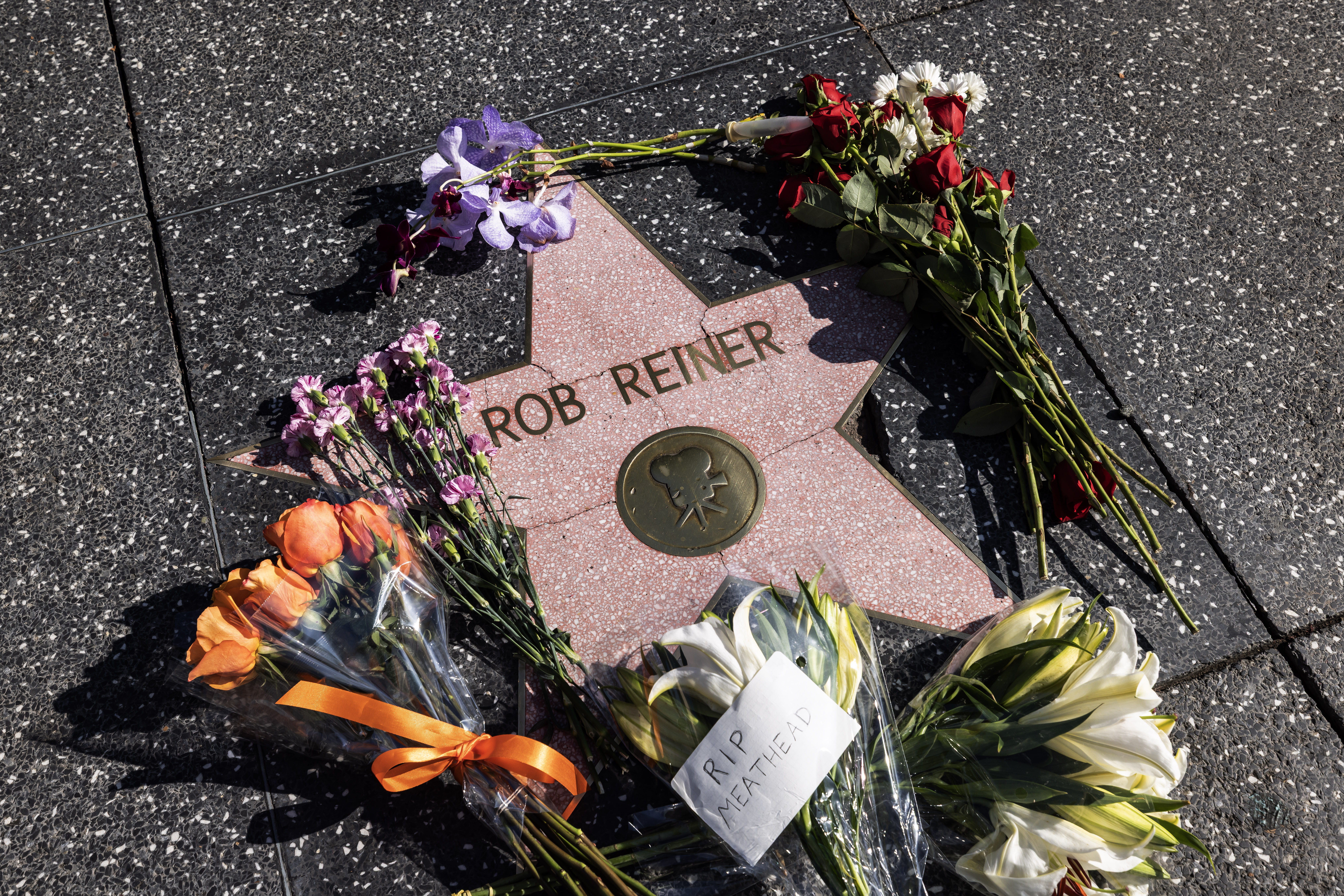 The murder of Michele and Rob Reiner: A tale of horrific days in Hollywood  | U.S. | EL PAÍS English