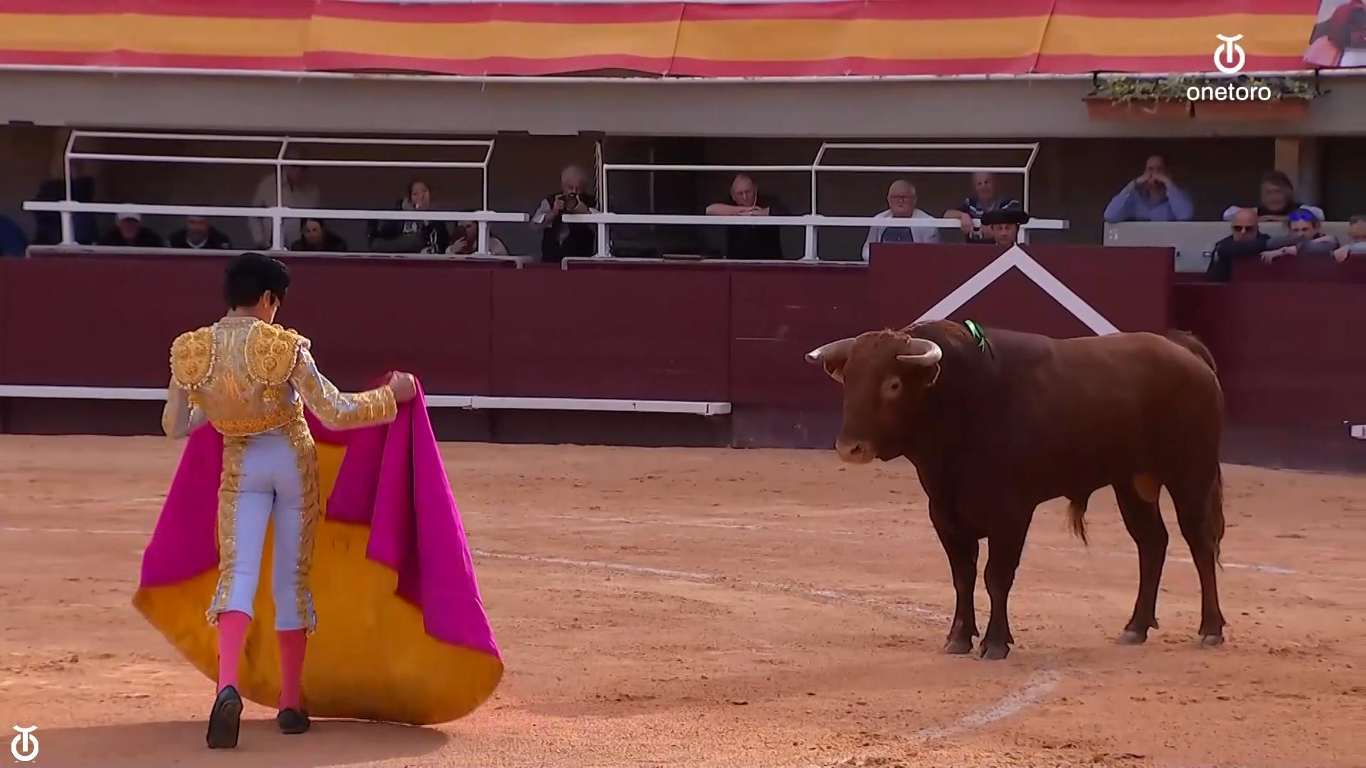 Marco Pérez, el peligro de ser un ‘niño prodigio’ en el mundo del toro