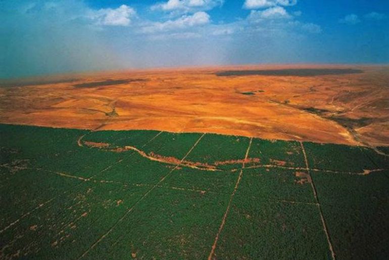 La Gran Muralla Verde del Sahara | Actualidad | Cadena SER