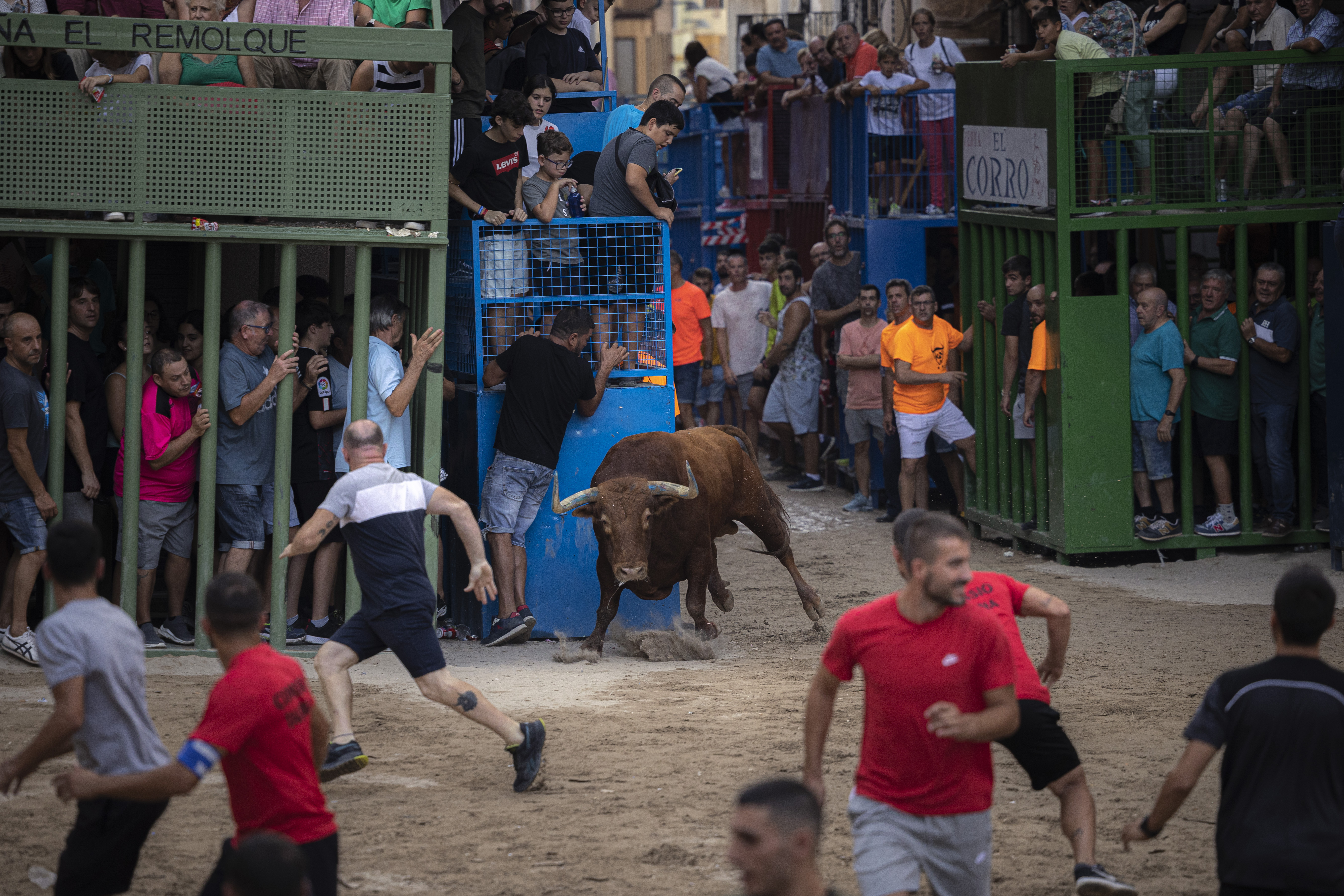 El fallecido tras cornearle un toro en La Pobla de Farnals era un directivo  de Pamesa | Actualidad | Cadena SER