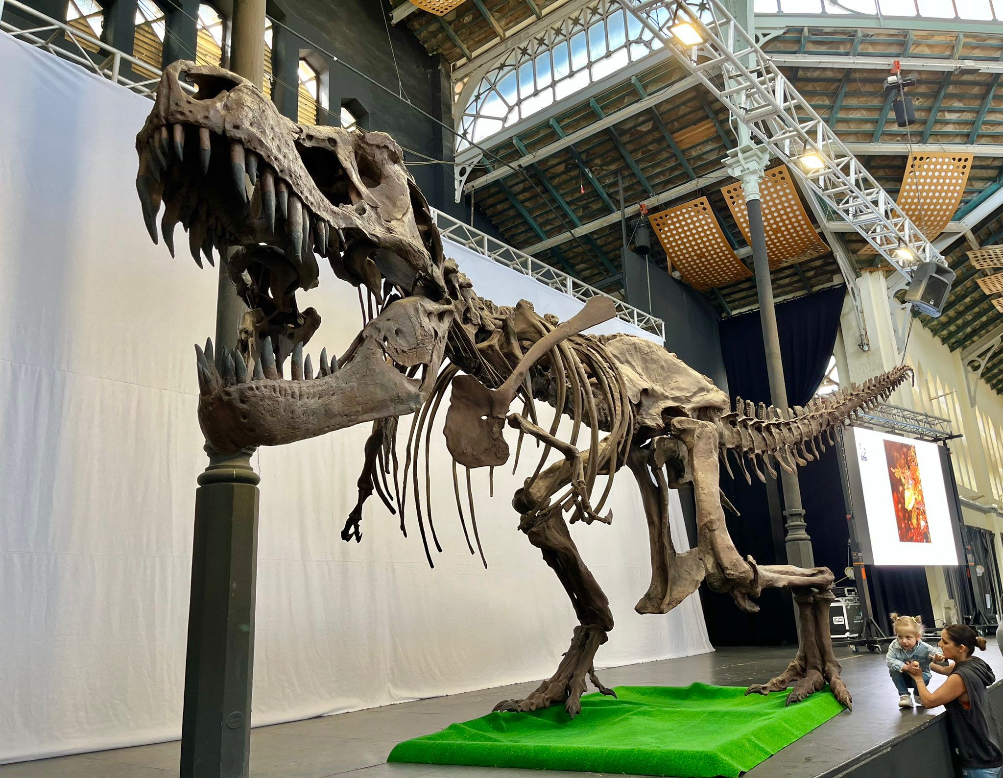 Dos réplicas de dinosaurio se exponen en la Feria de Minerales y Fósiles de  La Unión | Actualidad | Cadena SER