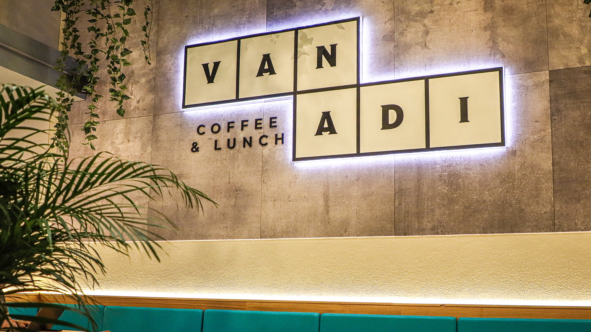 Vanadi Coffe comienza la cuenta atrás para su salida a bolsa | Gastro |  Ocio y cultura | Cadena SER