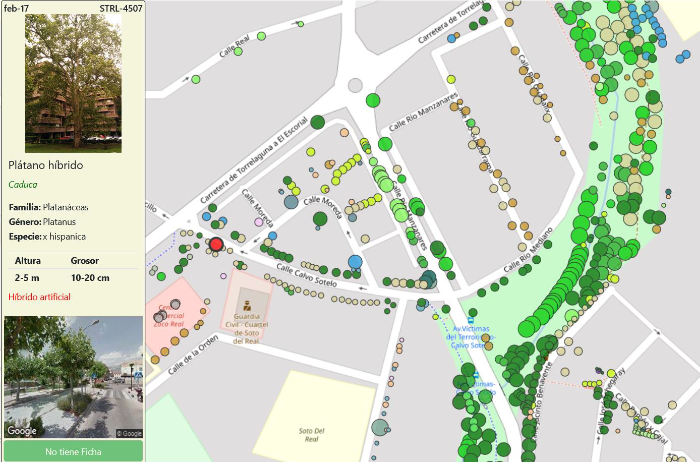 Soto del Real cuenta con 5.274 árboles de 115 especies en sus calles,  parques y jardines | Actualidad | Cadena SER