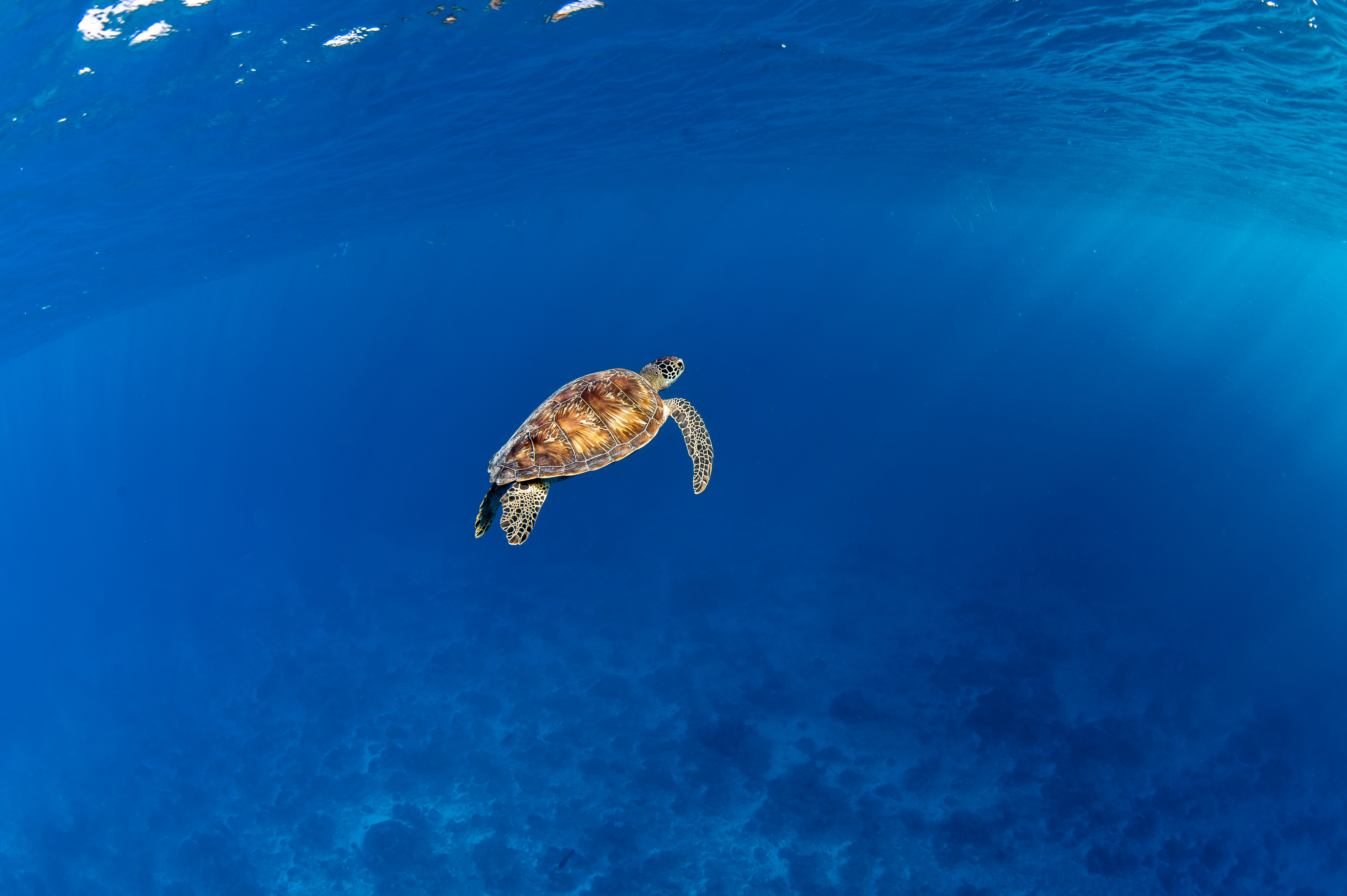 XVIDIOO com Yrla Lima - Acesso Imediato