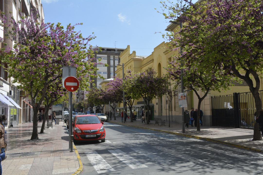 Elda repara los alcorques y replanta los árboles de varias calles de la  ciudad | Actualidad | Cadena SER