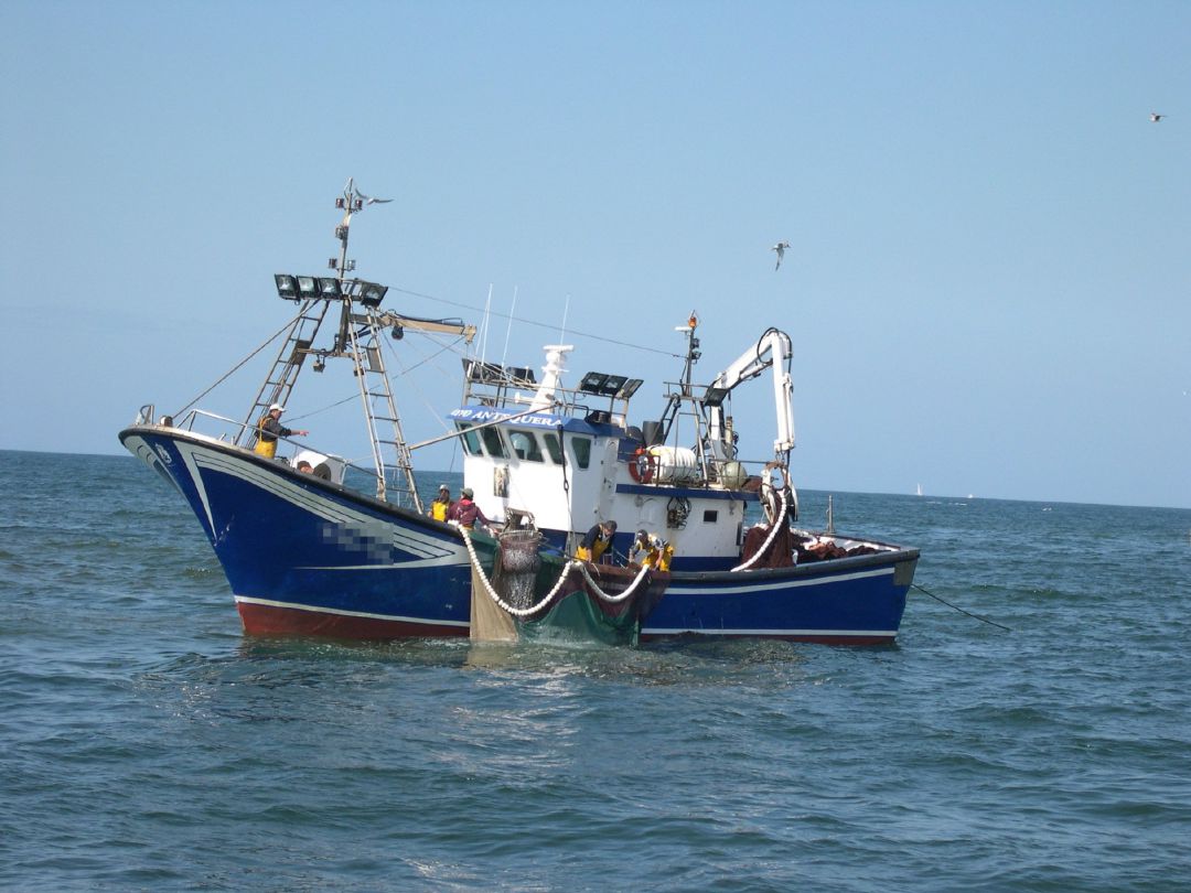 El Ministerio de Agricultura y Pesca prohibe temporalmente la